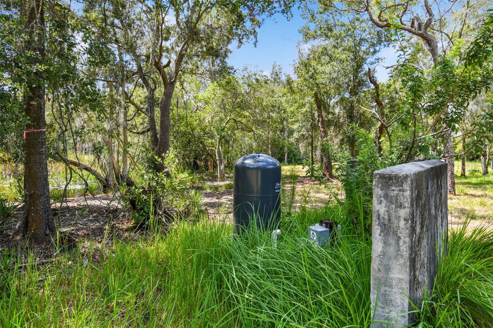 1758 LAND O LAKES BLVD — photo 12
