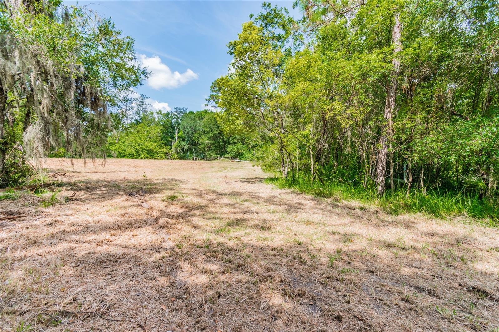1758 LAND O LAKES BLVD — photo 5