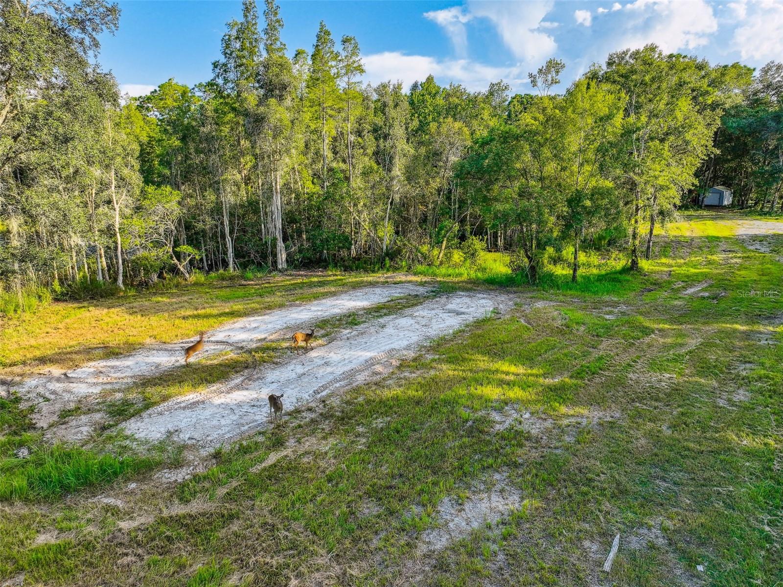 1758 LAND O LAKES BLVD — photo 16