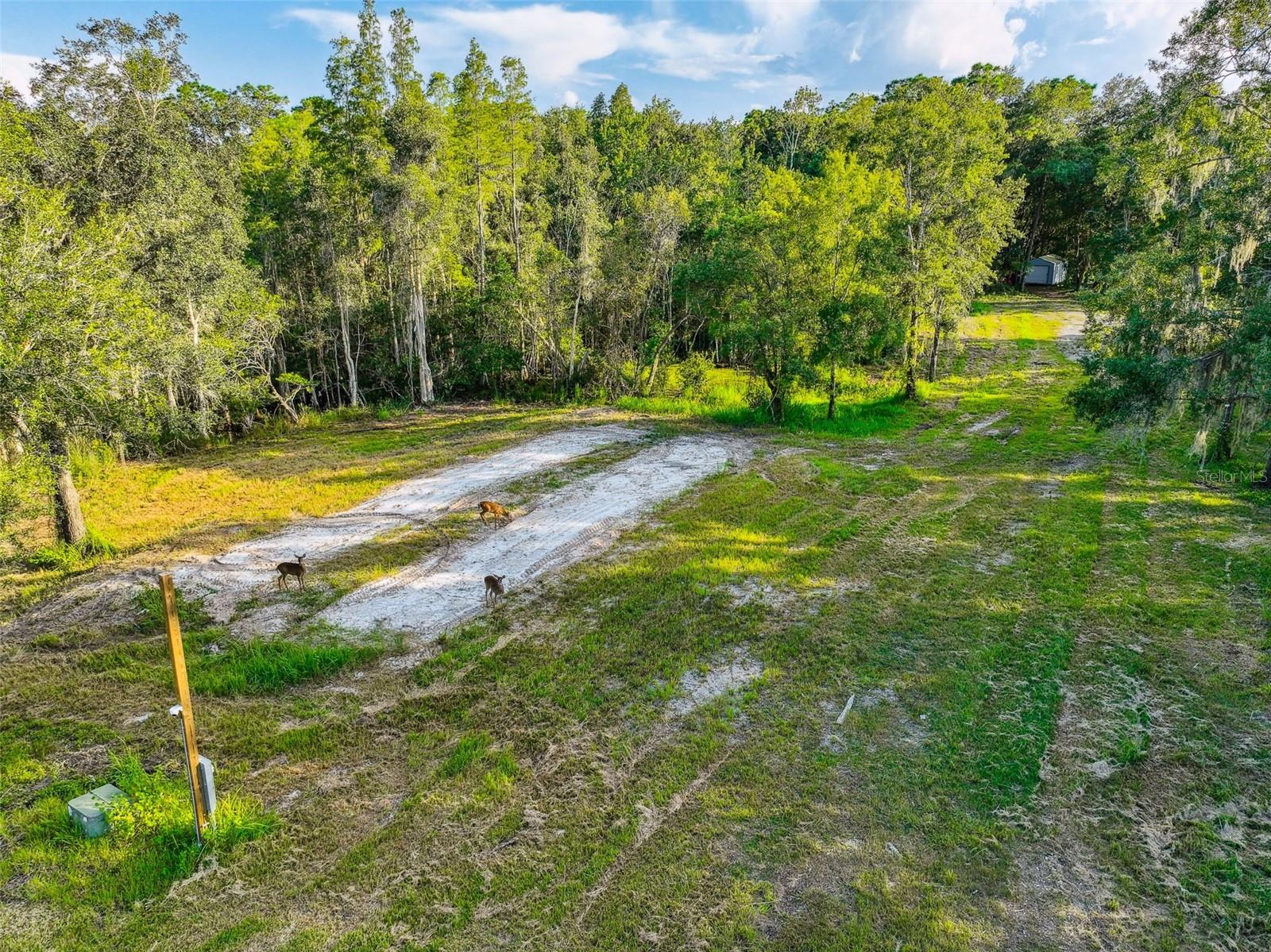 1758 LAND O LAKES BLVD — photo 33
