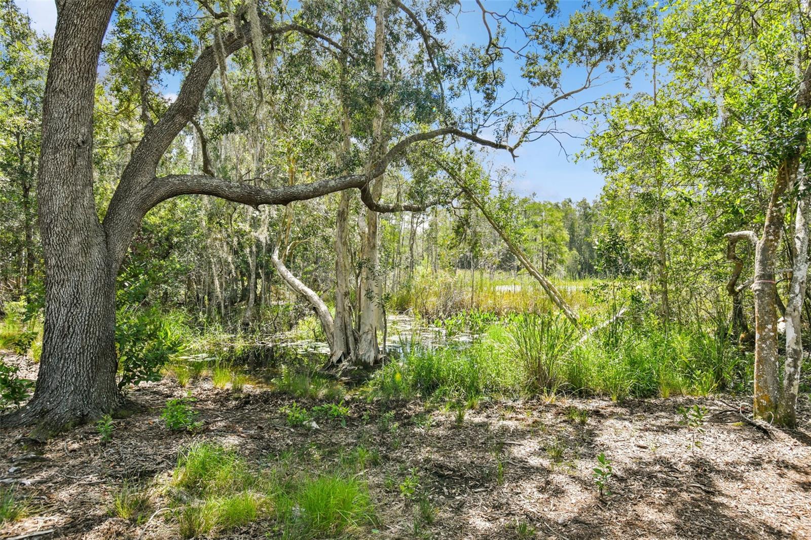 1758 LAND O LAKES BLVD — photo 19