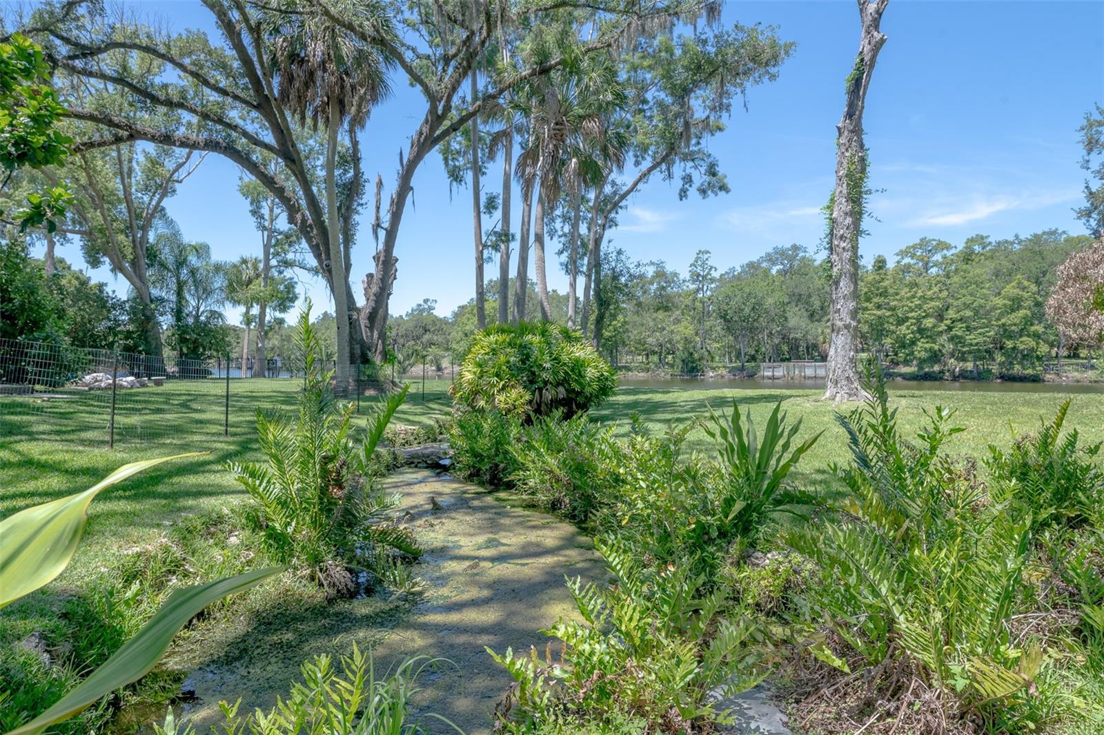7308 N OLA AVE — photo 44