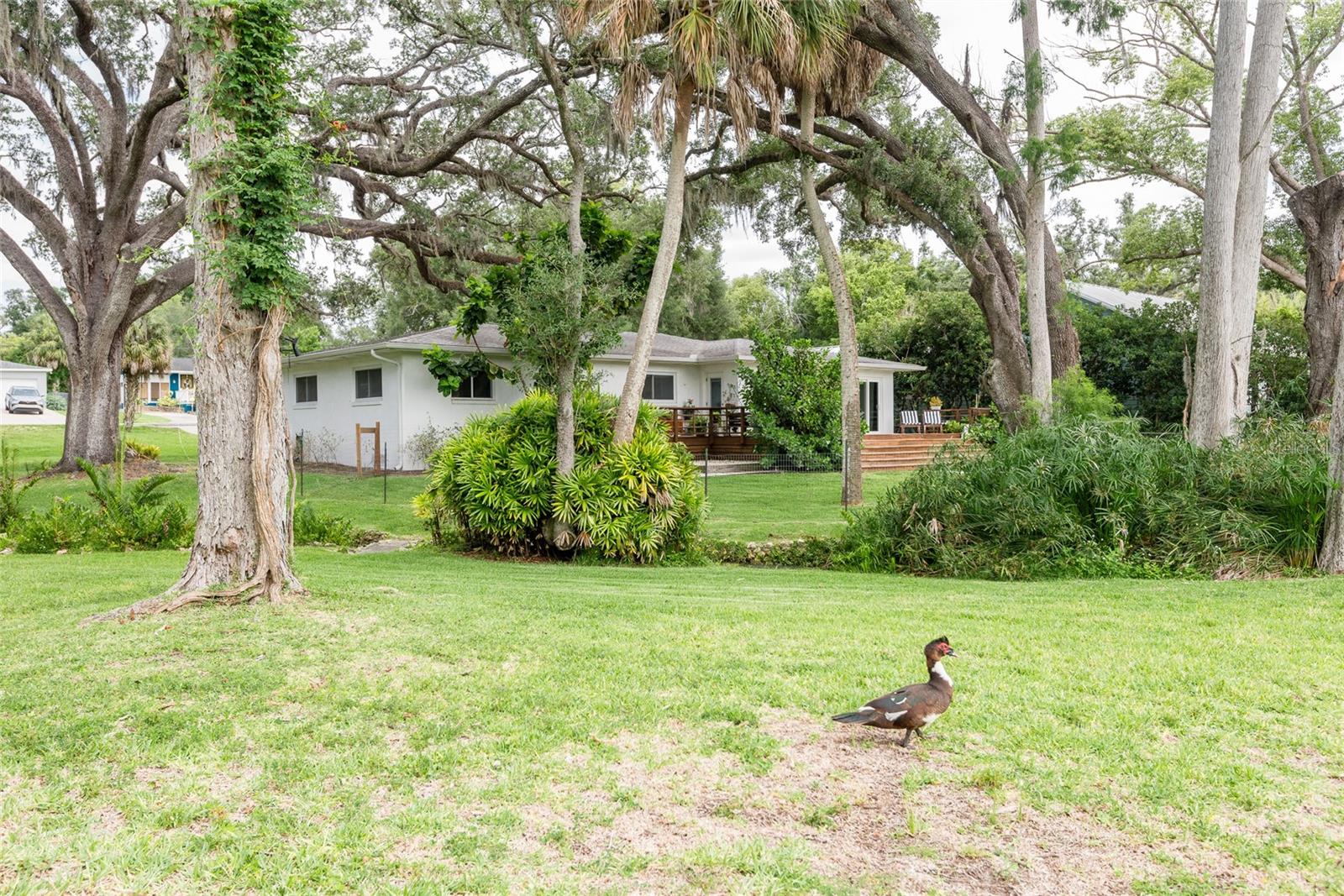 7308 N OLA AVE — photo 47