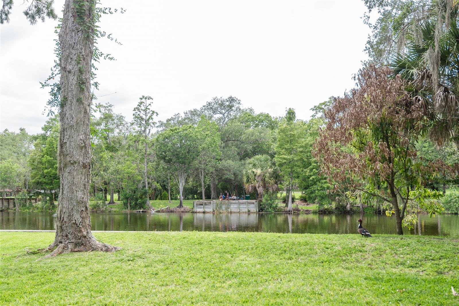 7308 N OLA AVE — photo 48