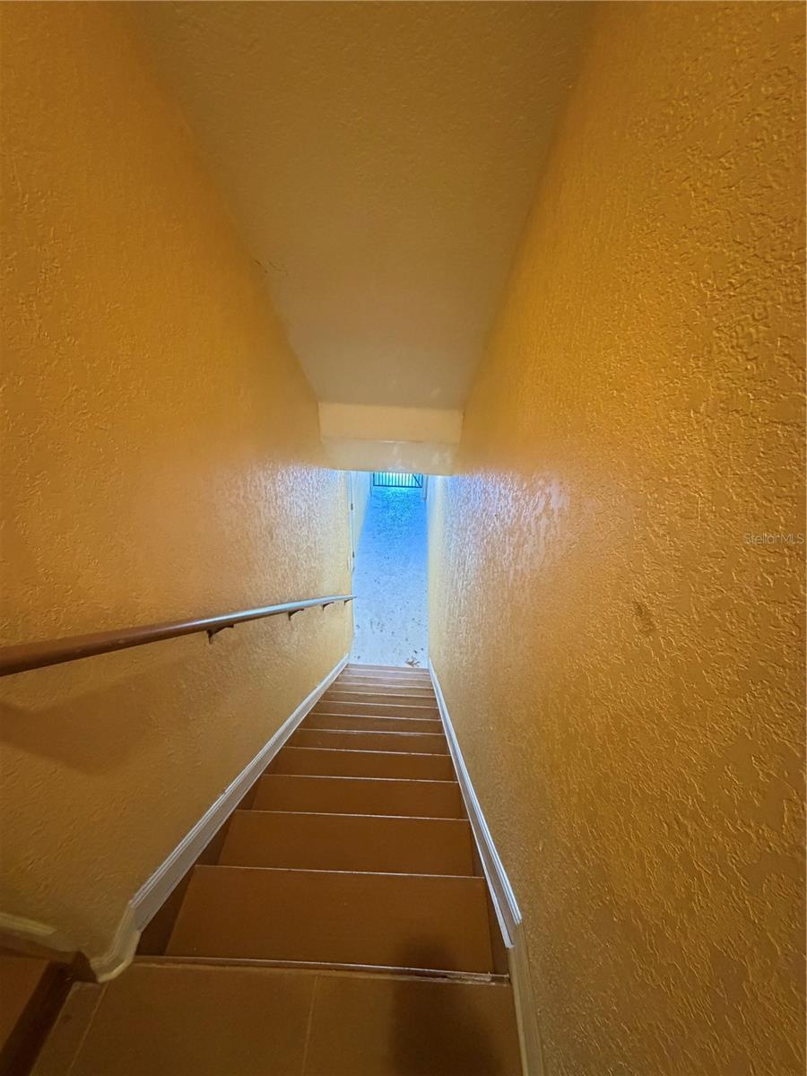 4817 TUSCAN LOON DR — photo 4