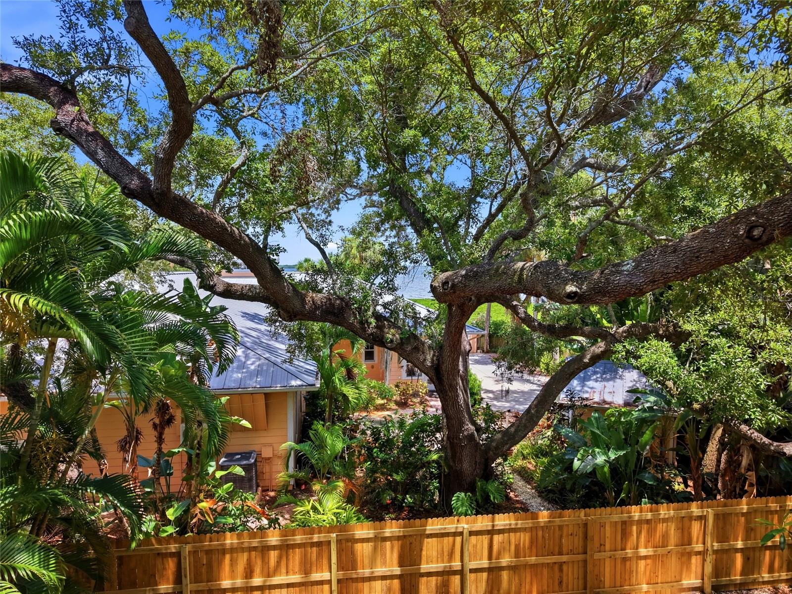Lot 14 E MARSHALL ST — photo 18