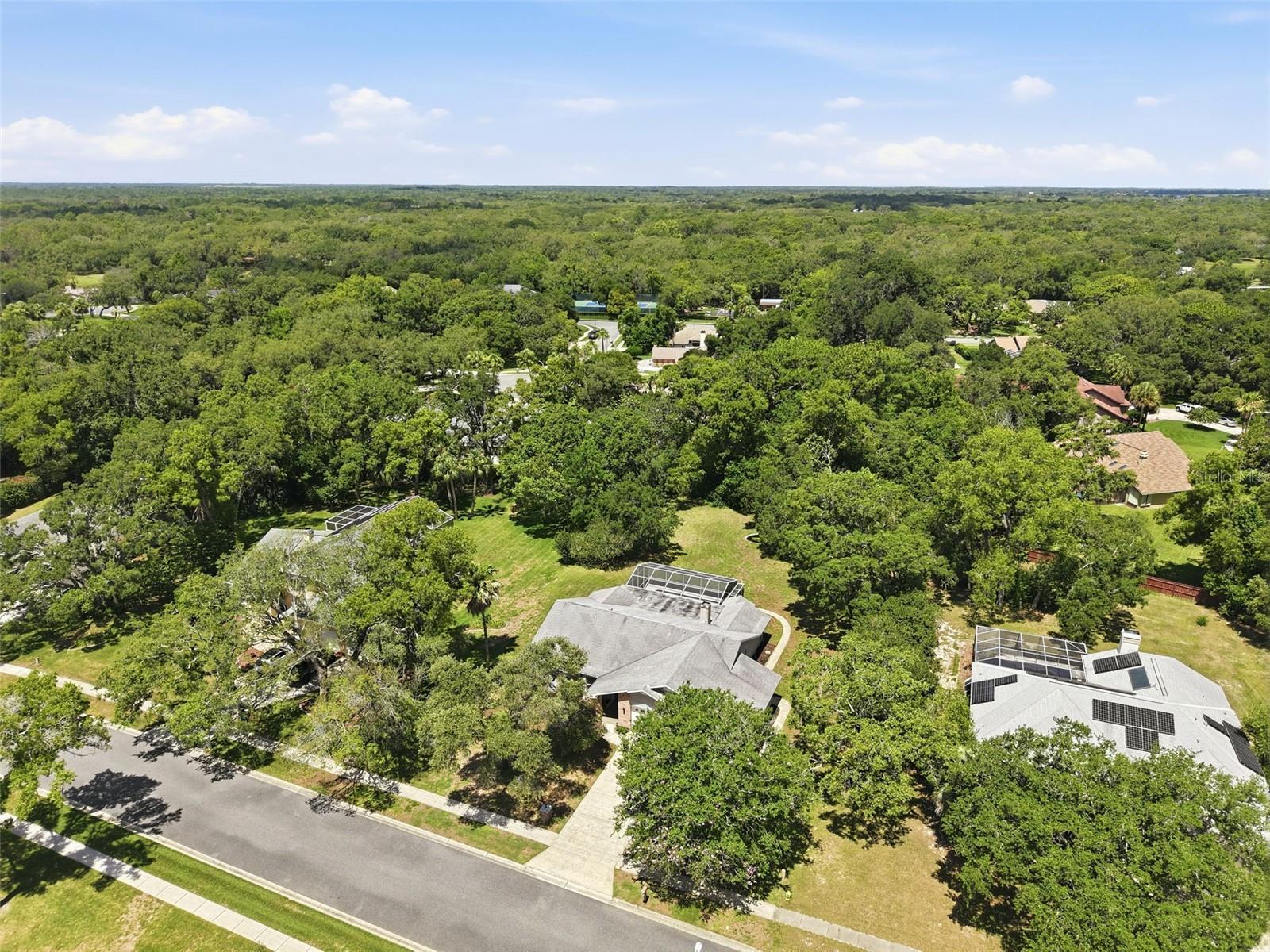 18451 WINDING OAKS BLVD — photo 43