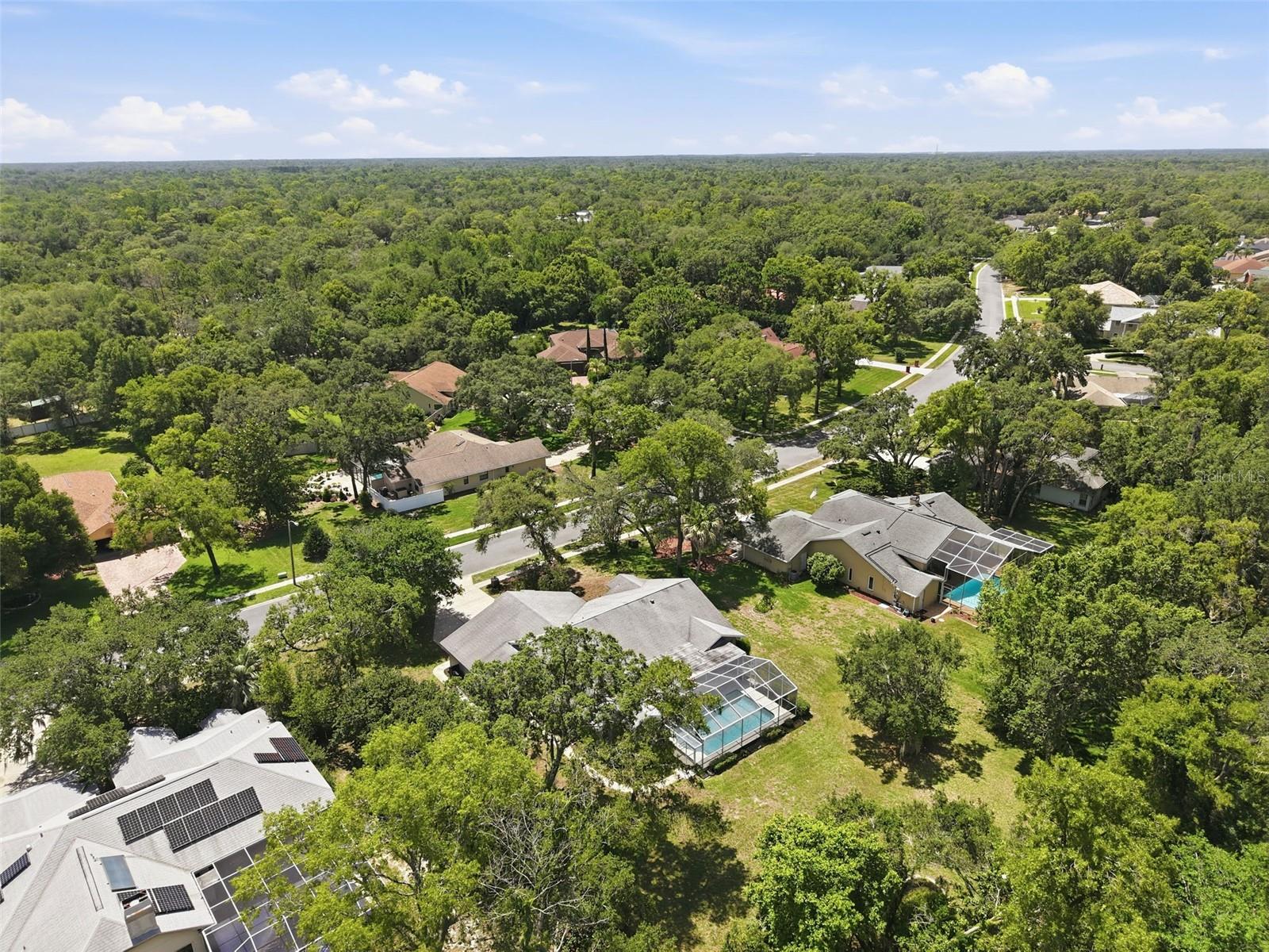 18451 WINDING OAKS BLVD — photo 41