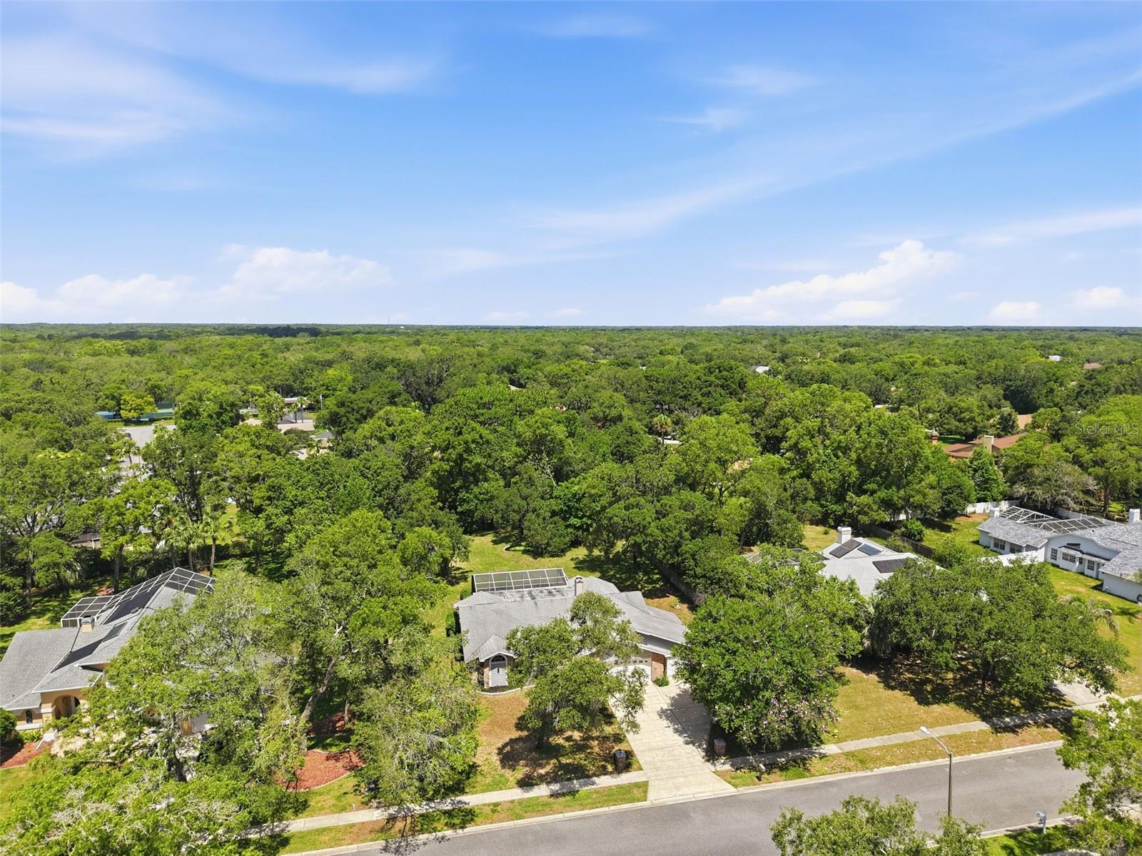 18451 WINDING OAKS BLVD — photo 49