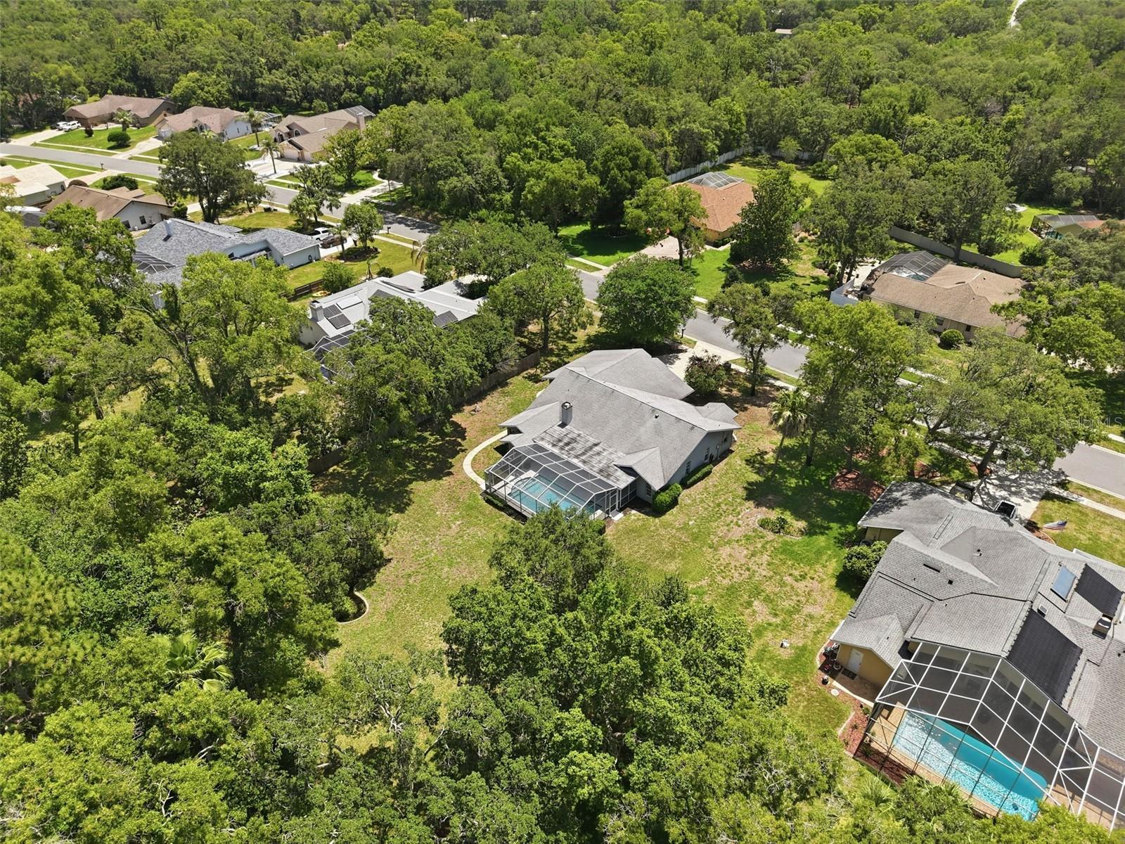 18451 WINDING OAKS BLVD — photo 46