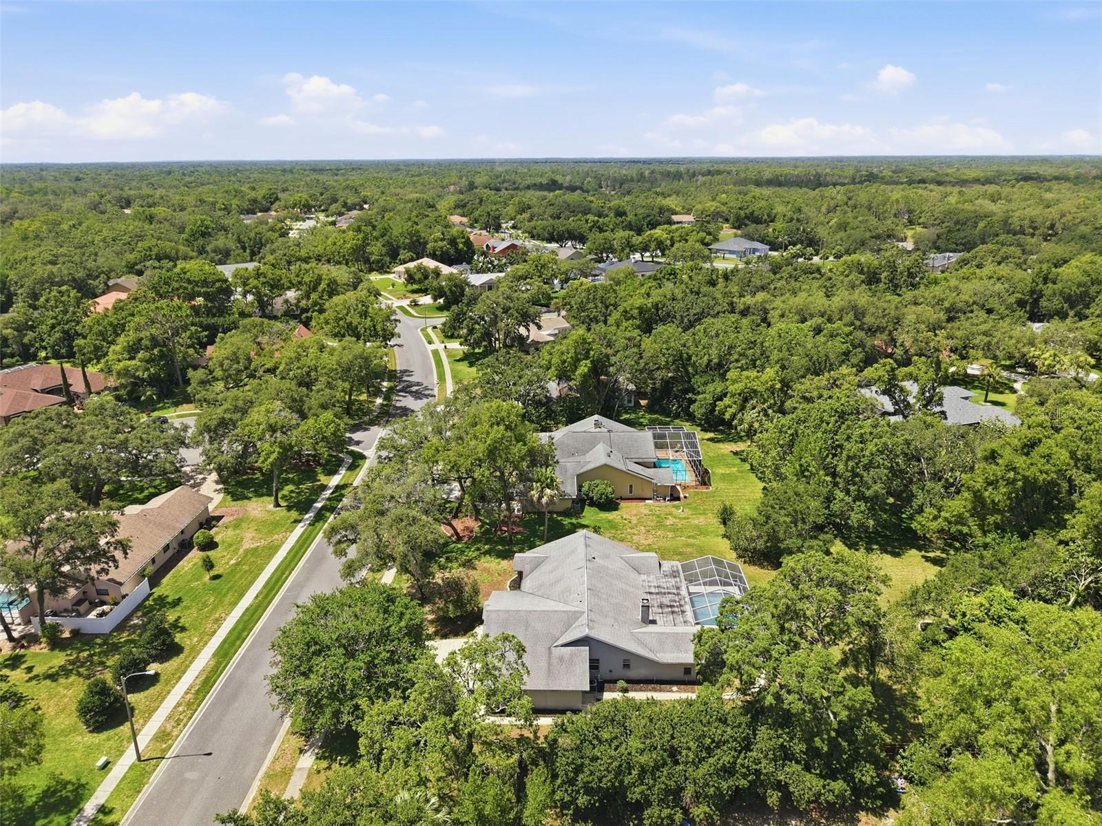 18451 WINDING OAKS BLVD — photo 44
