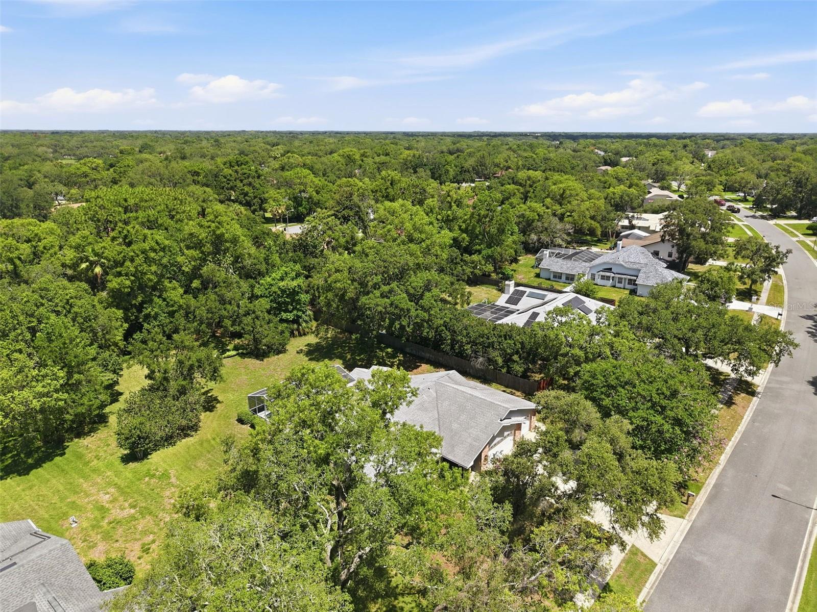 18451 WINDING OAKS BLVD — photo 48