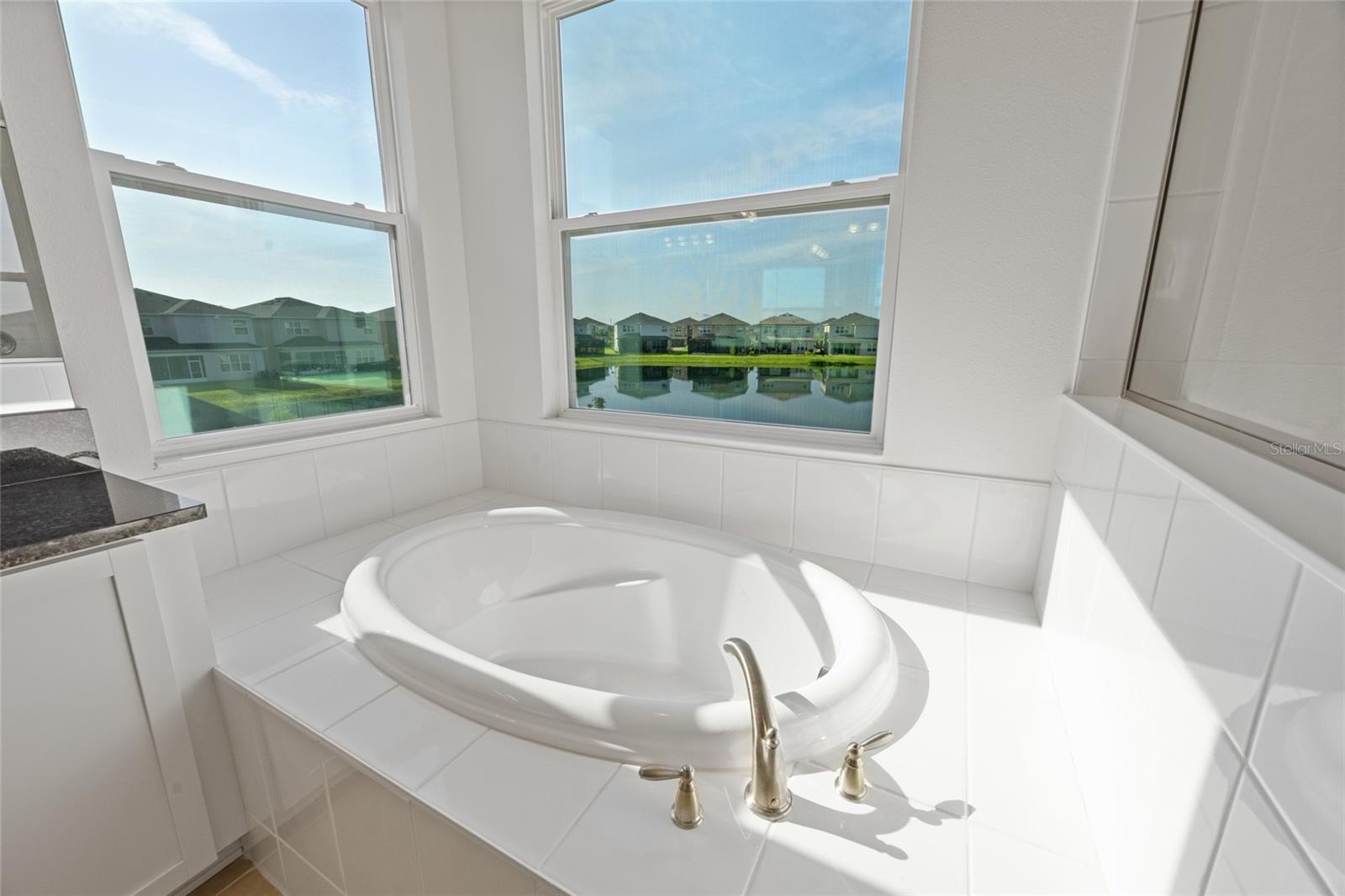 32684 TAMARIND GROVE LN — photo 36