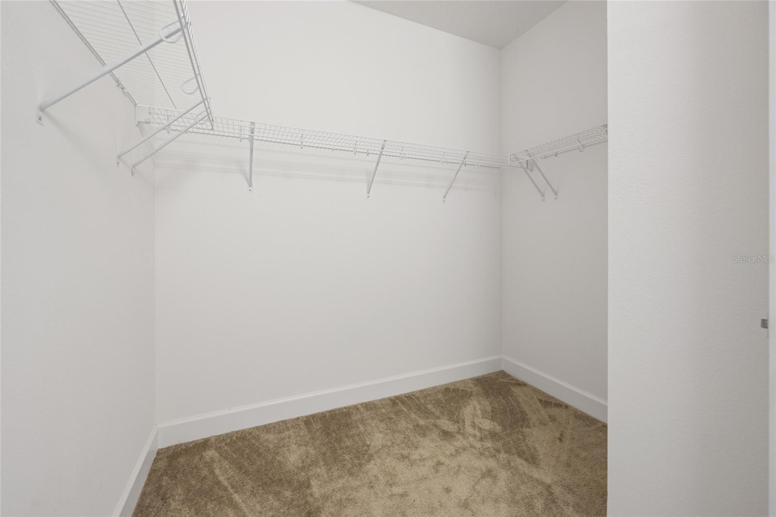 32684 TAMARIND GROVE LN — photo 37