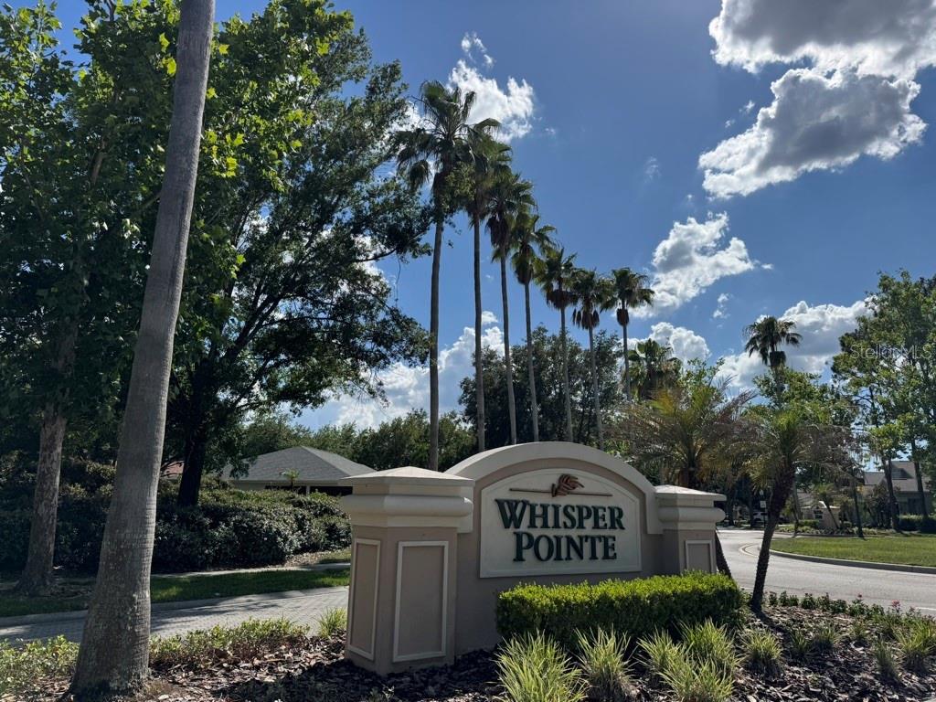 10110 WHISPER POINTE DR — photo 42
