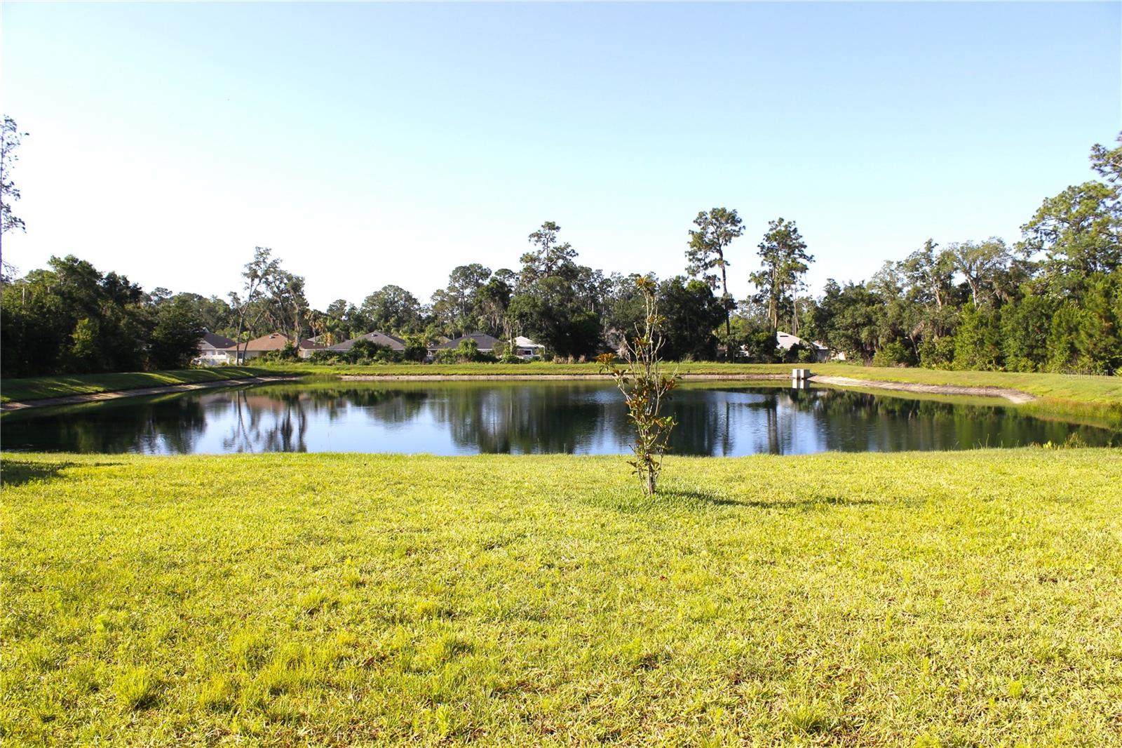 30600 THUNDERBIRD DR — photo 13