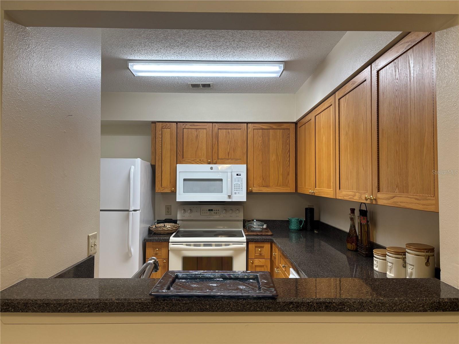 2333 FEATHER SOUND DR #C107 — photo 10