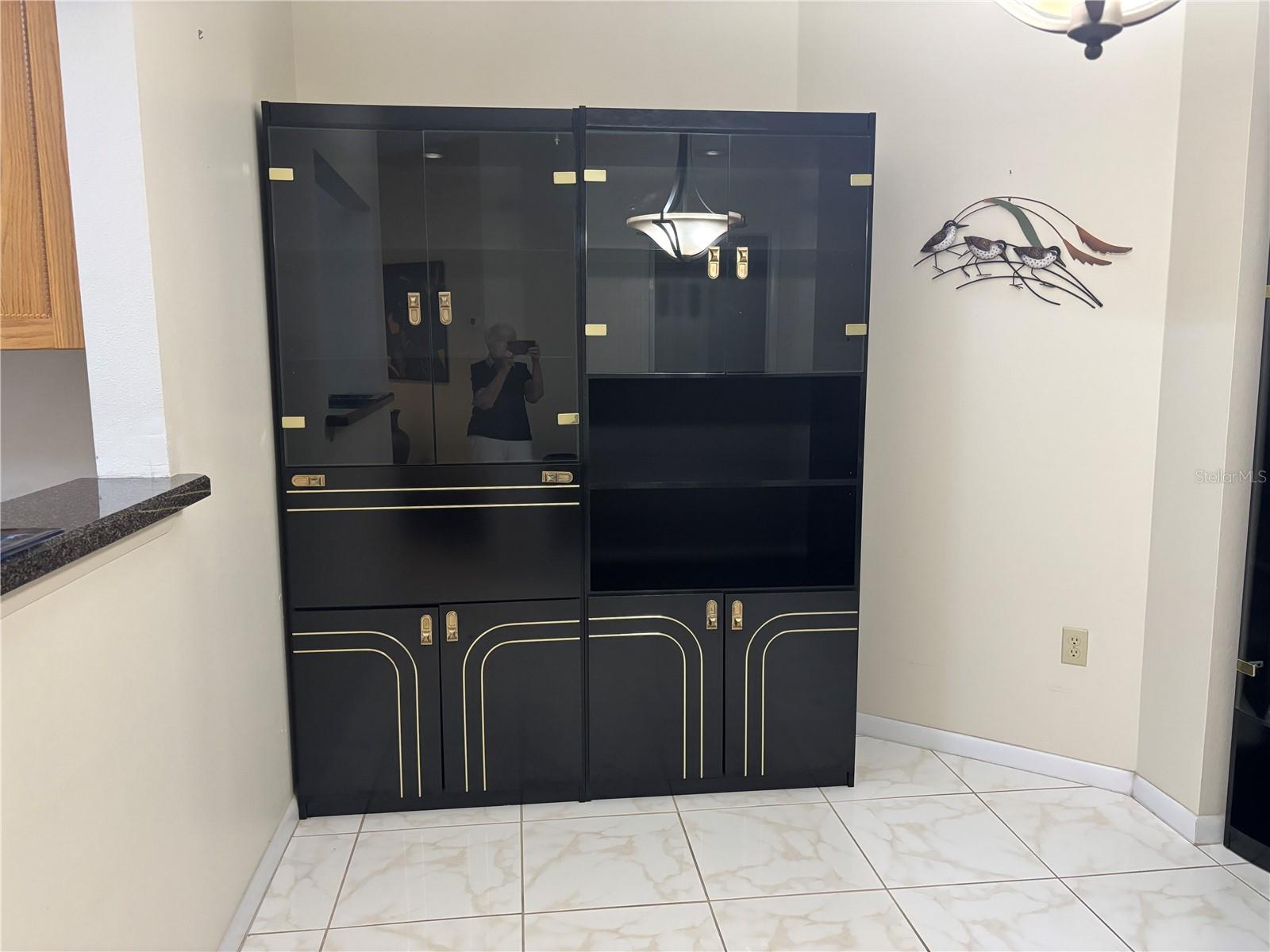 2333 FEATHER SOUND DR #C107 — photo 12