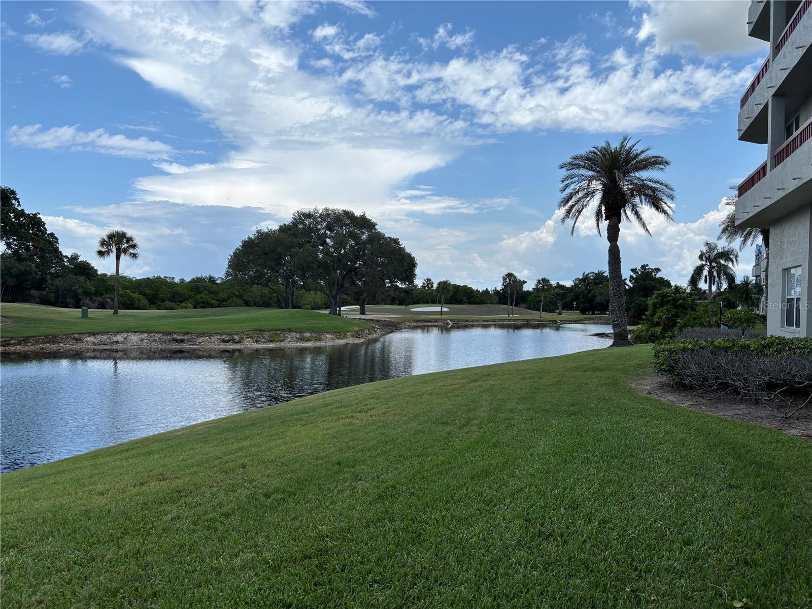 2333 FEATHER SOUND DR #C107 — photo 53