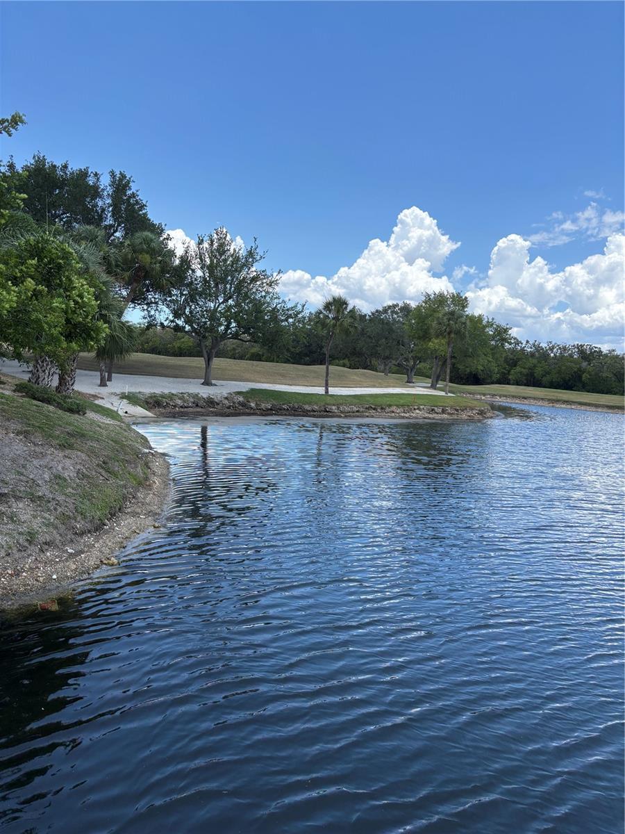 2333 FEATHER SOUND DR #C107 — photo 55
