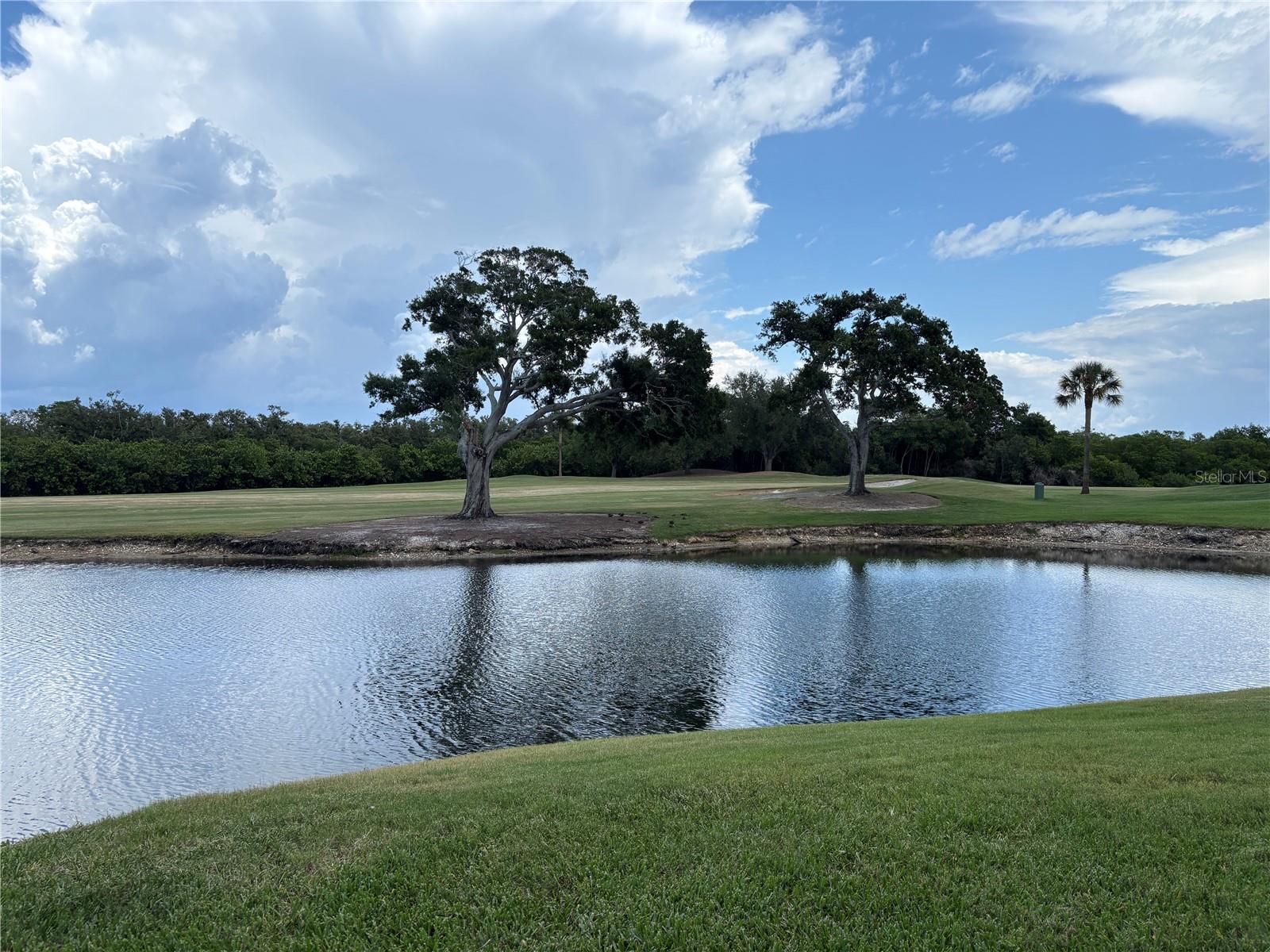 2333 FEATHER SOUND DR #C107 — photo 54