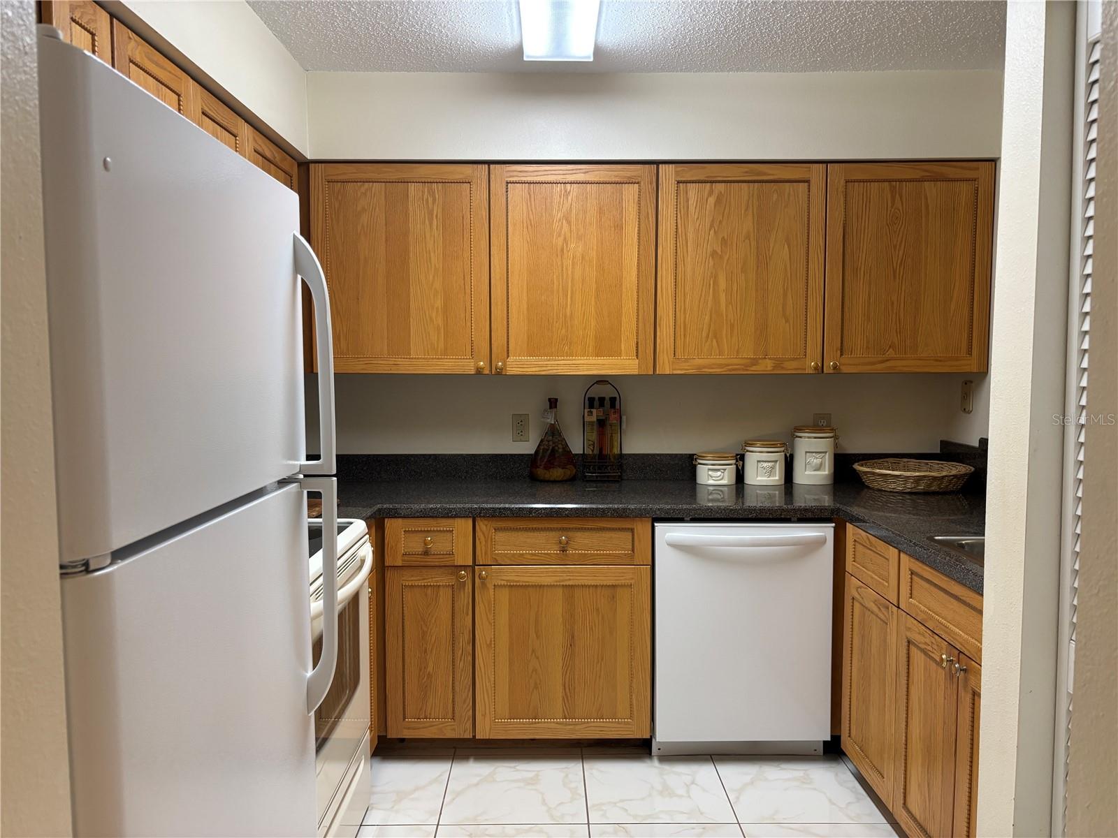 2333 FEATHER SOUND DR #C107 — photo 8