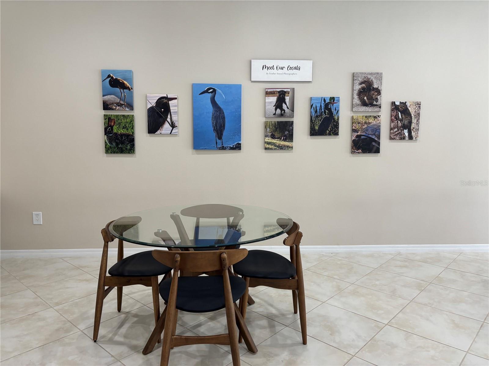 2333 FEATHER SOUND DR #C107 — photo 42