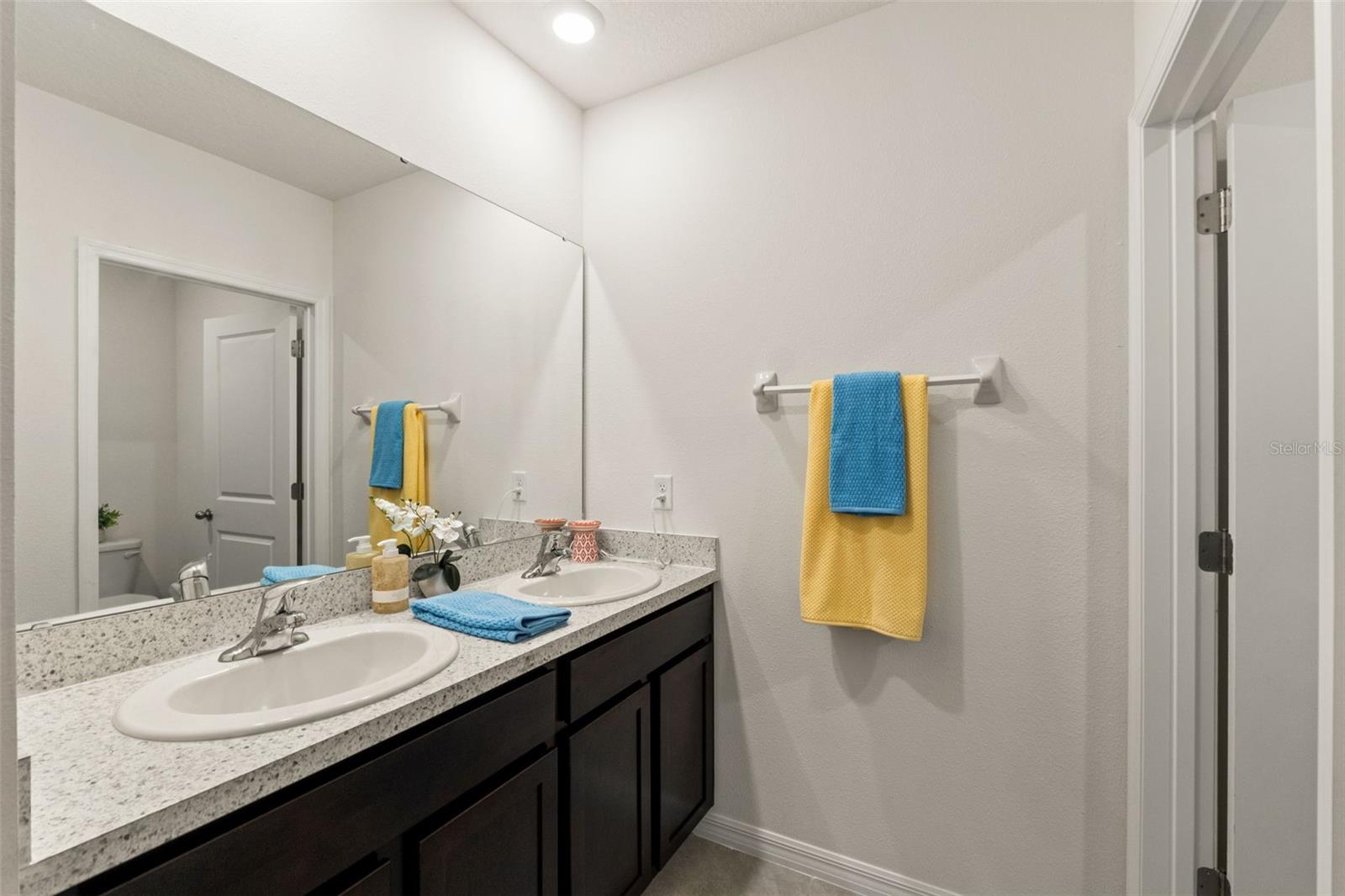 33567 HAMILTON HILL LN — photo 33