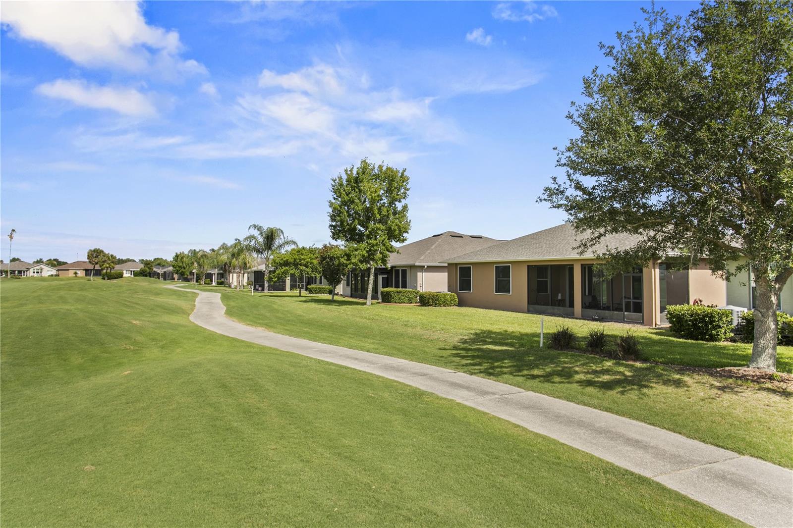 29255 GRASS BUNKER DR — photo 30