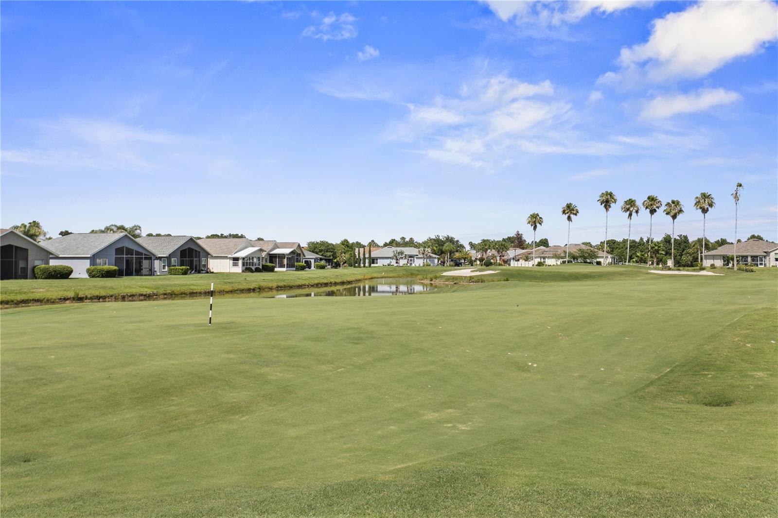 29255 GRASS BUNKER DR — photo 5