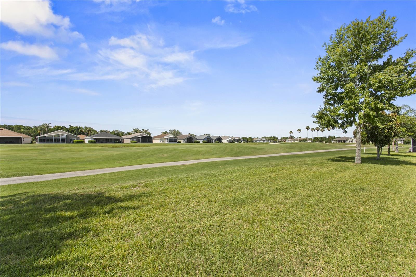 29255 GRASS BUNKER DR — photo 10
