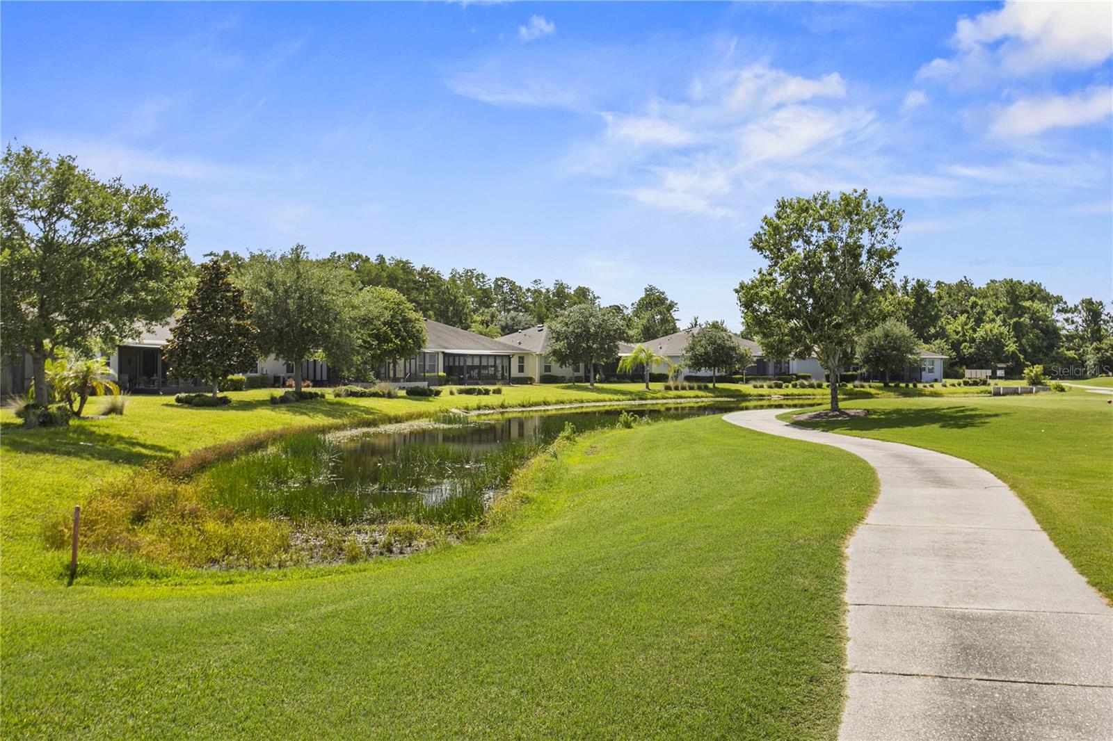 29255 GRASS BUNKER DR — photo 20