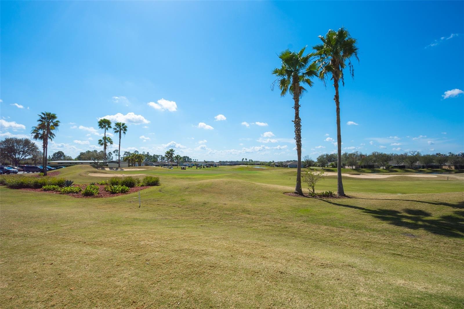 29255 GRASS BUNKER DR — photo 62