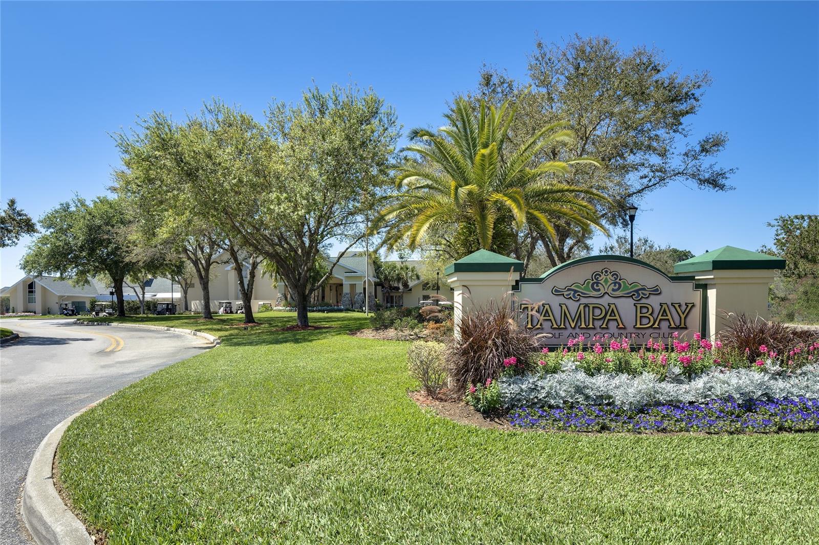 29255 GRASS BUNKER DR — photo 60
