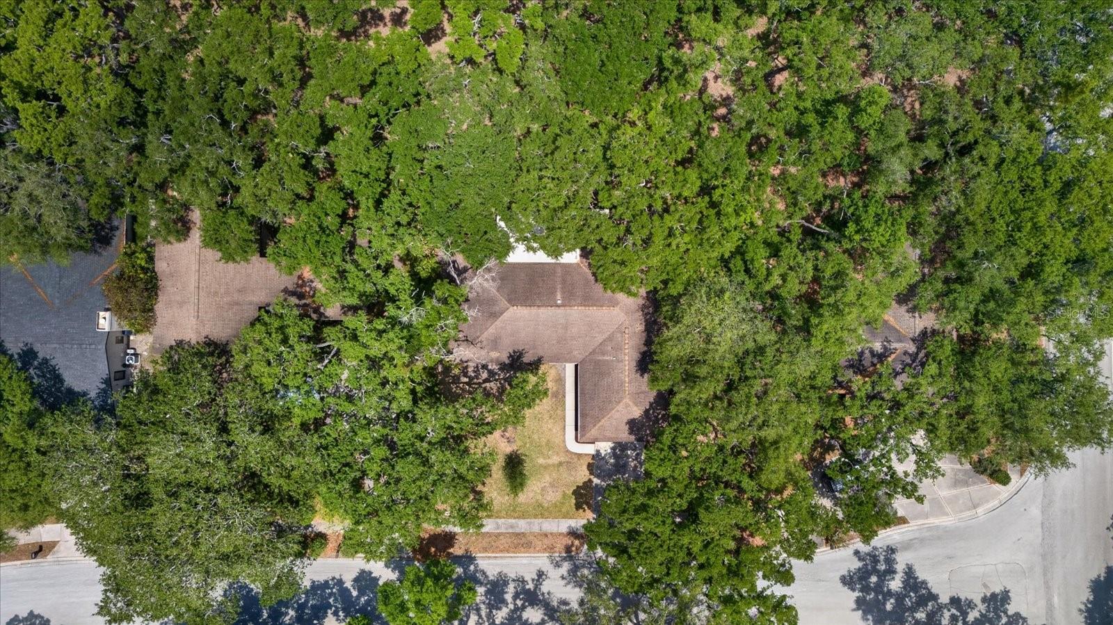 56 BAY WOODS DR — photo 41