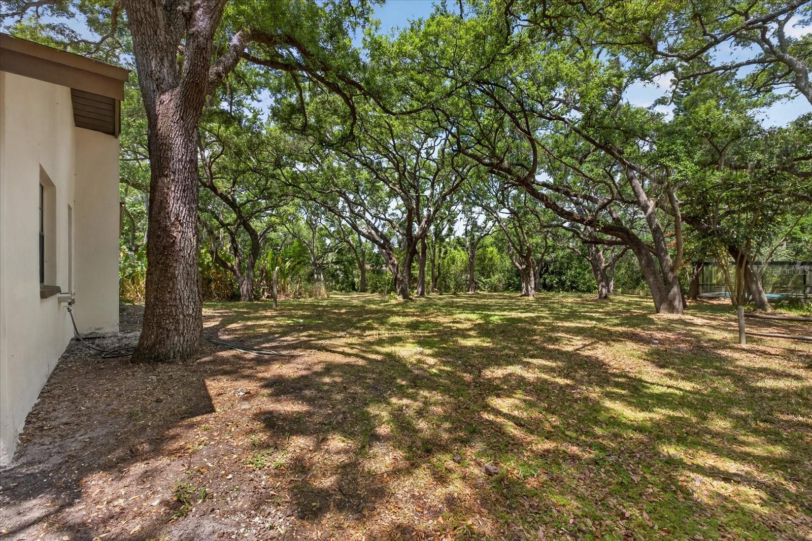 56 BAY WOODS DR — photo 37