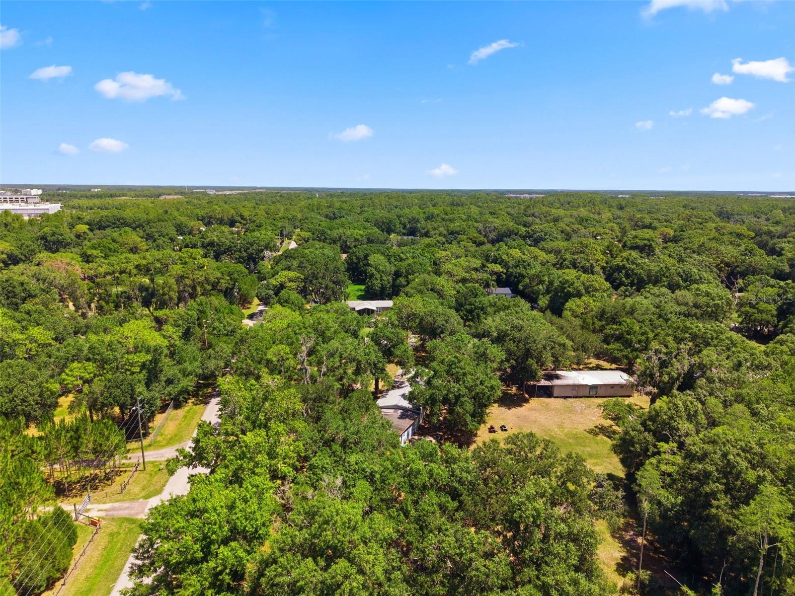 17214 CHINABERRY RD — photo 15
