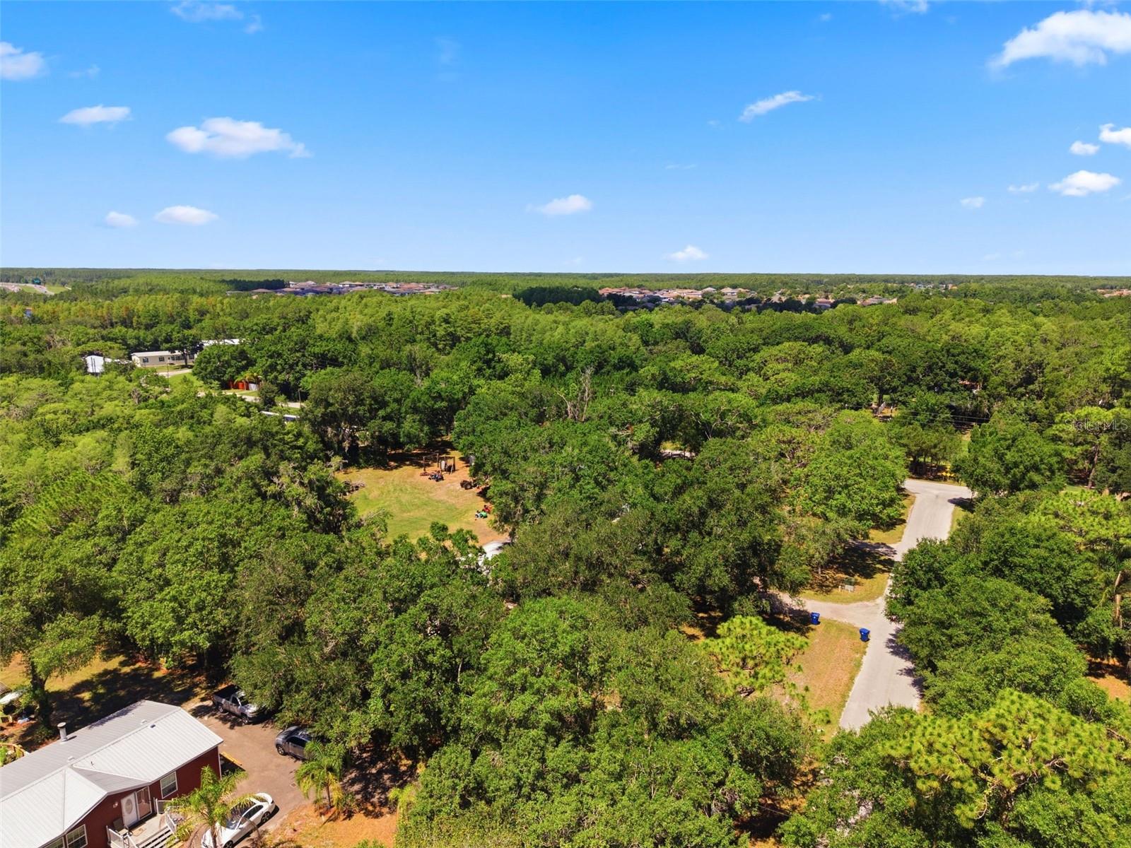 17214 CHINABERRY RD — photo 9