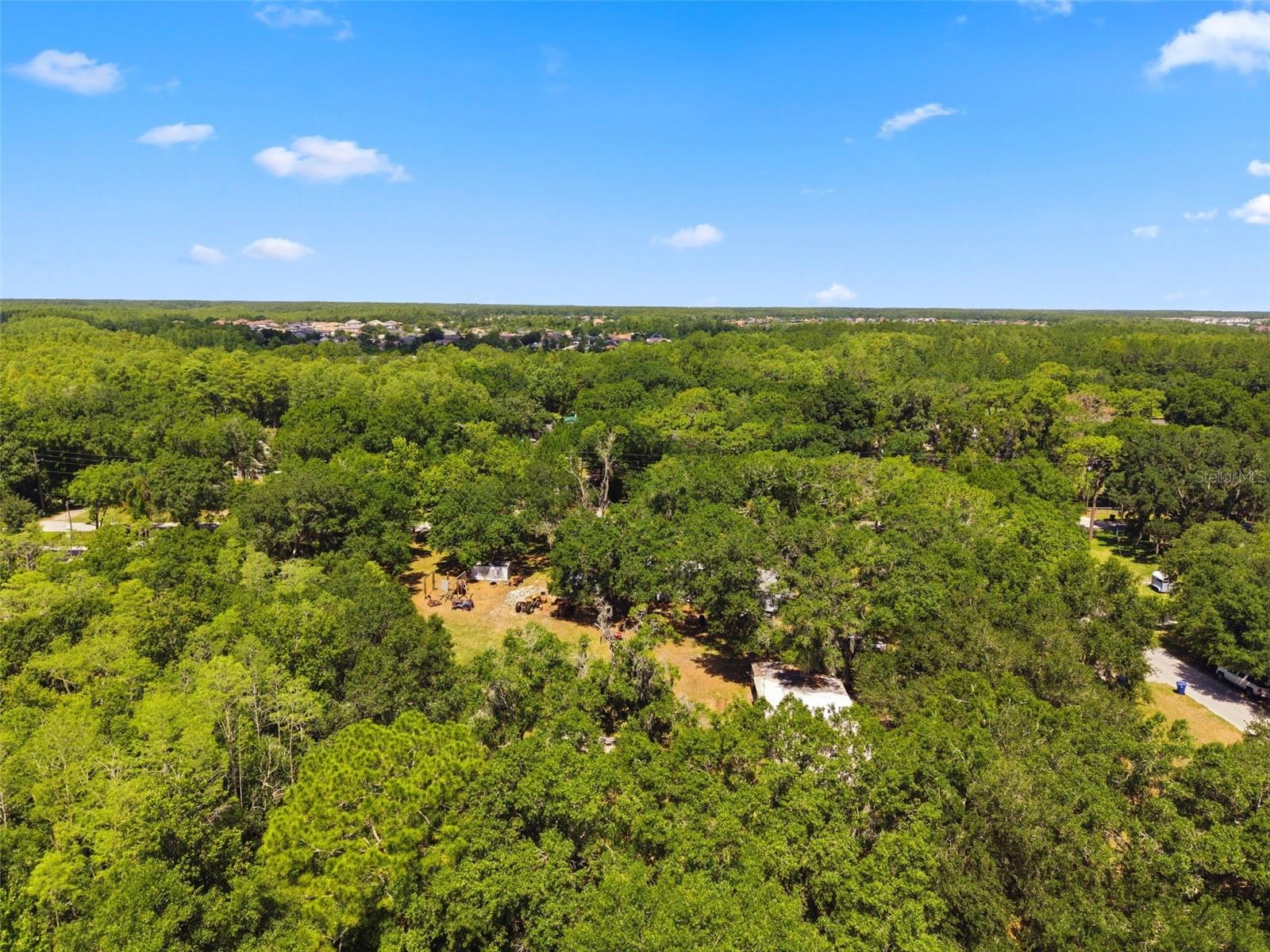 17214 CHINABERRY RD — photo 12