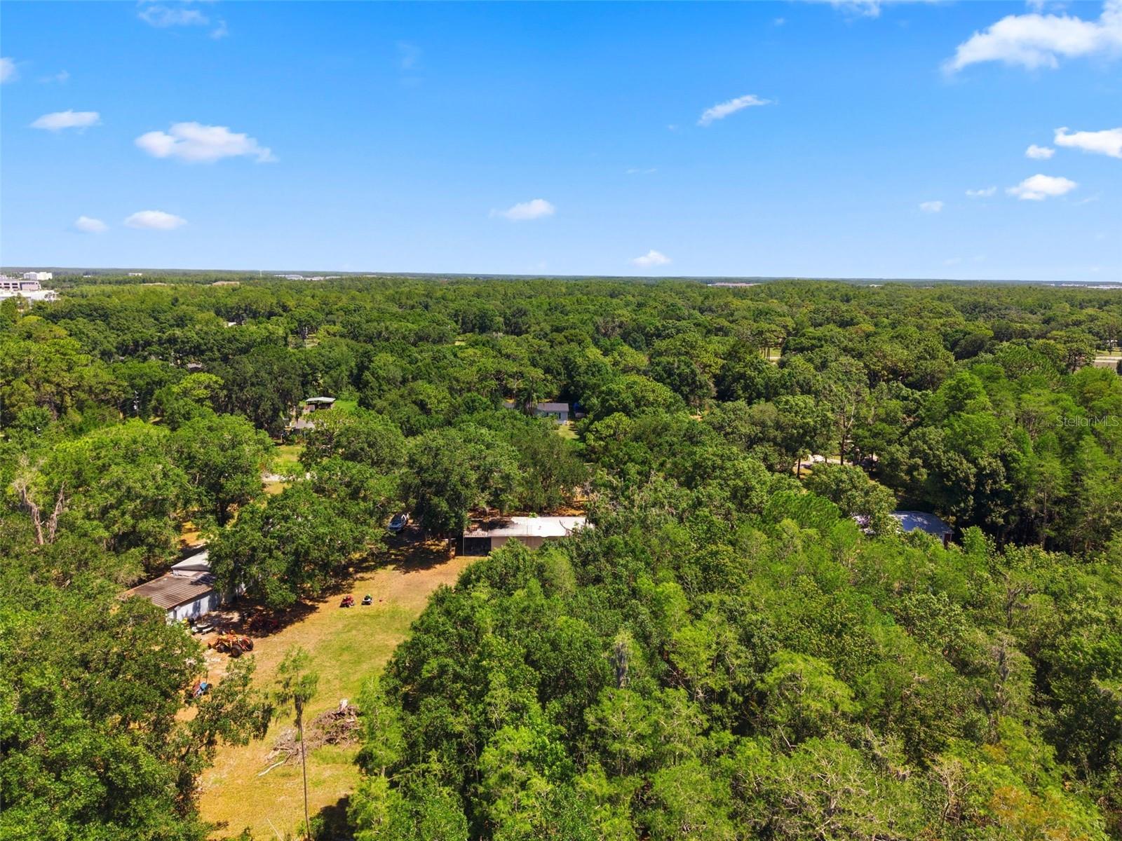 17214 CHINABERRY RD — photo 11