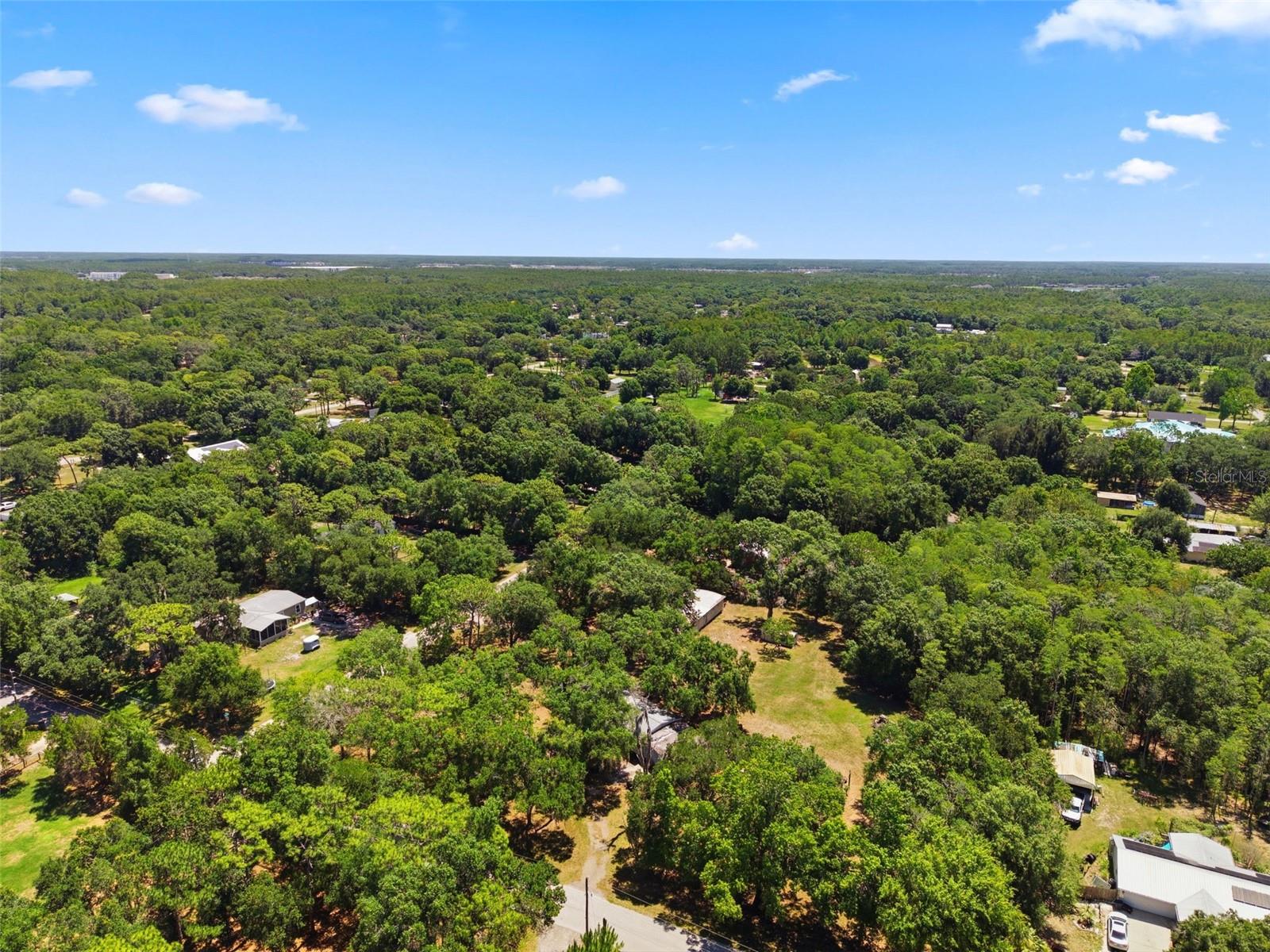 17214 CHINABERRY RD — photo 18