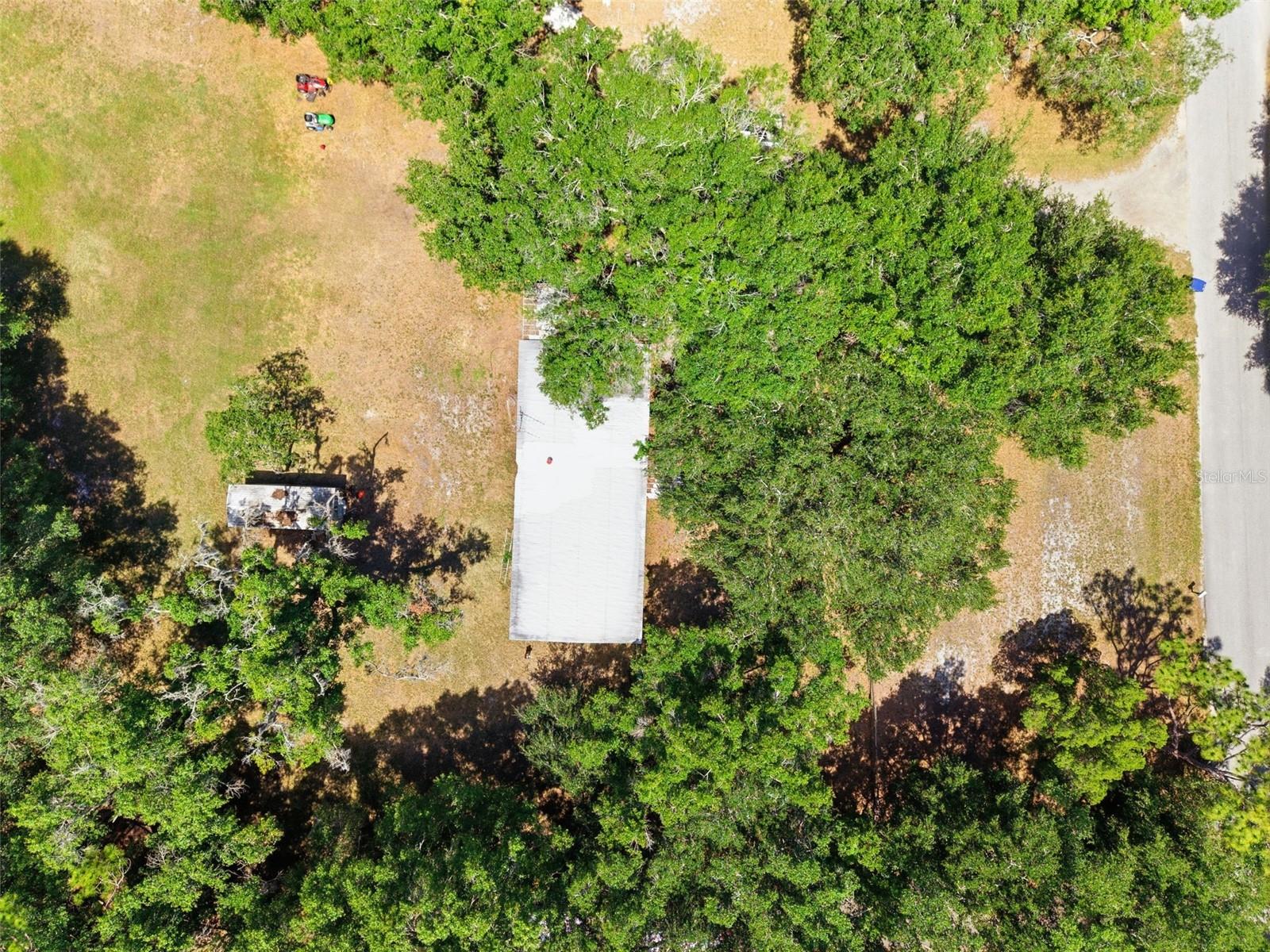 17214 CHINABERRY RD — photo 5