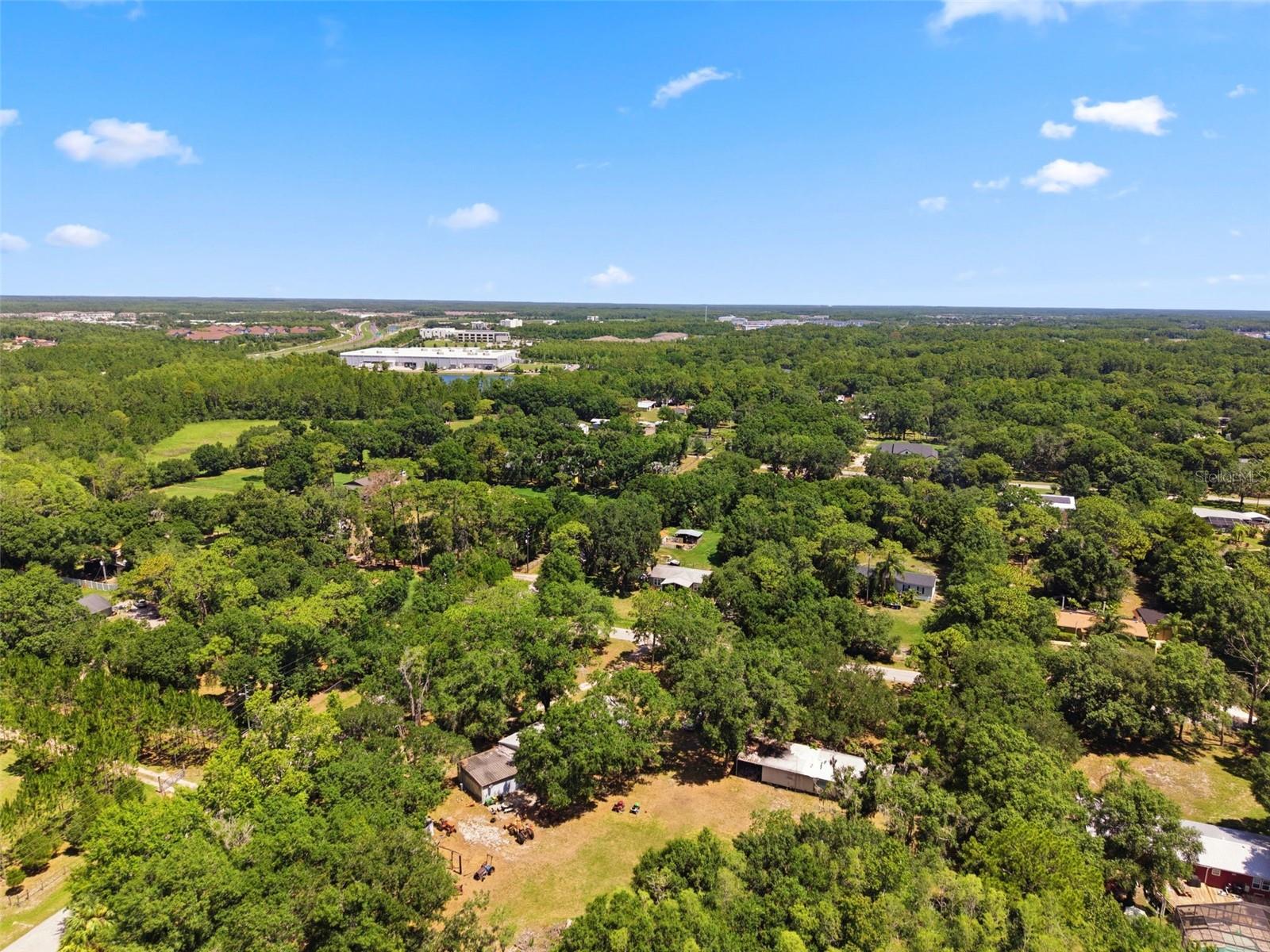 17214 CHINABERRY RD — photo 17