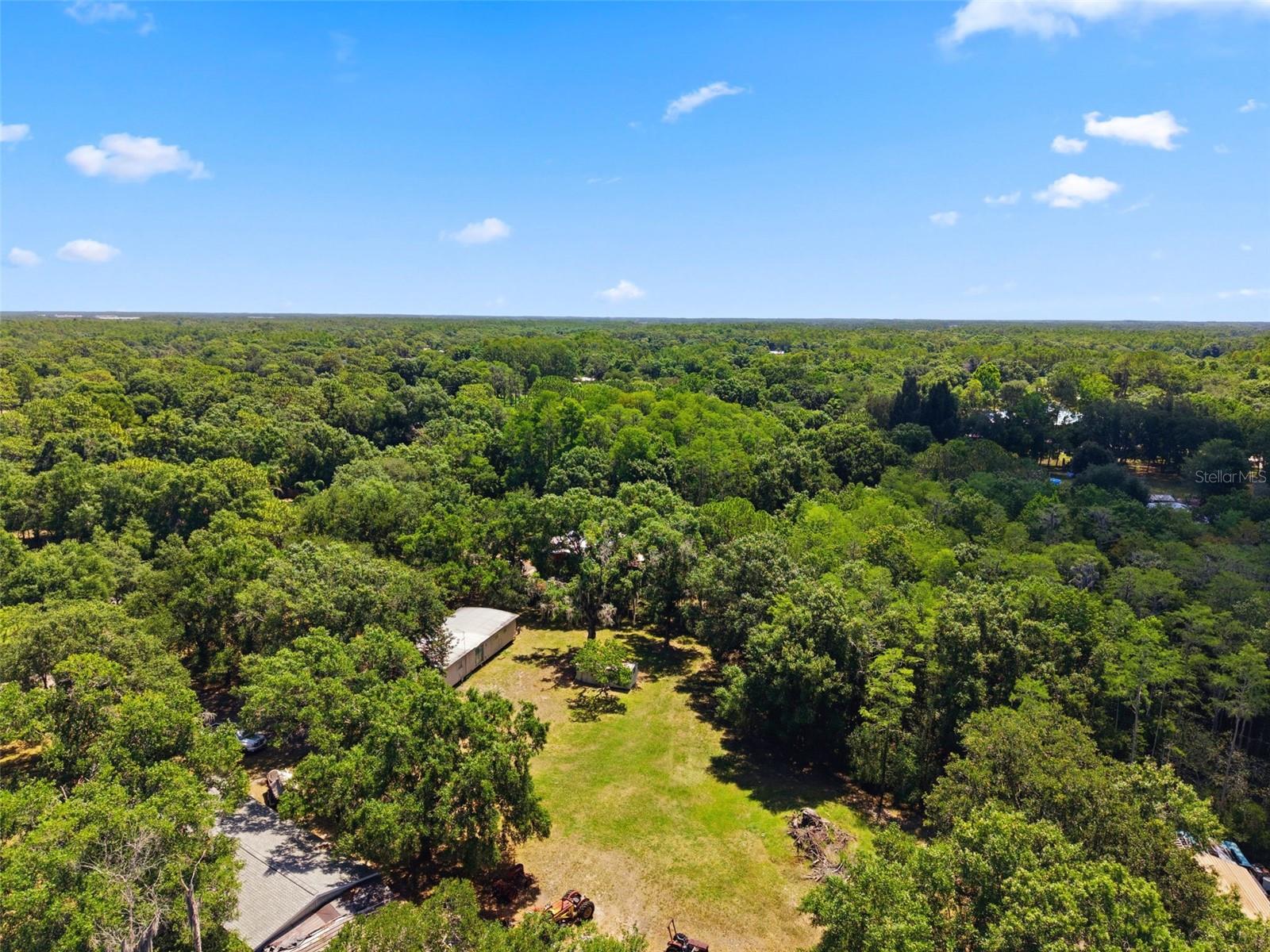 17214 CHINABERRY RD — photo 13