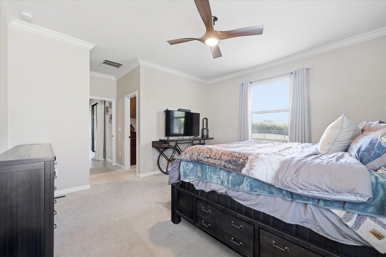 17234 BLUE RIDGE PL — photo 20