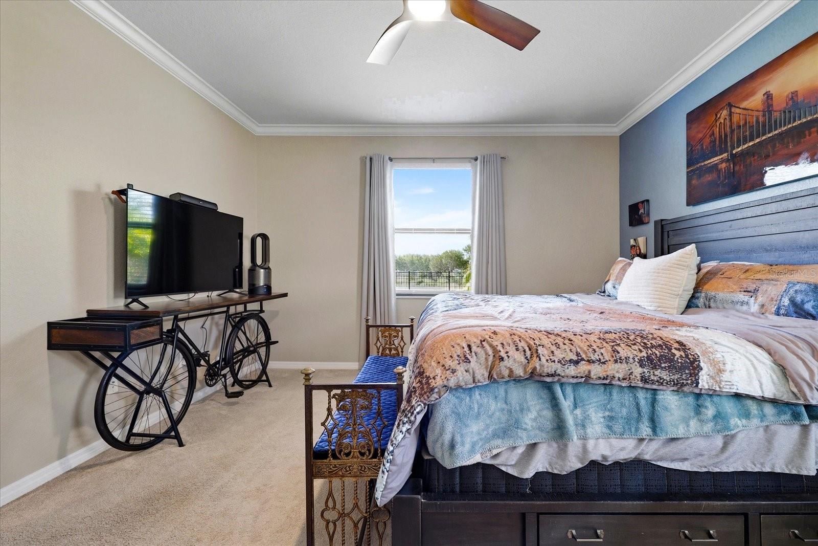 17234 BLUE RIDGE PL — photo 19