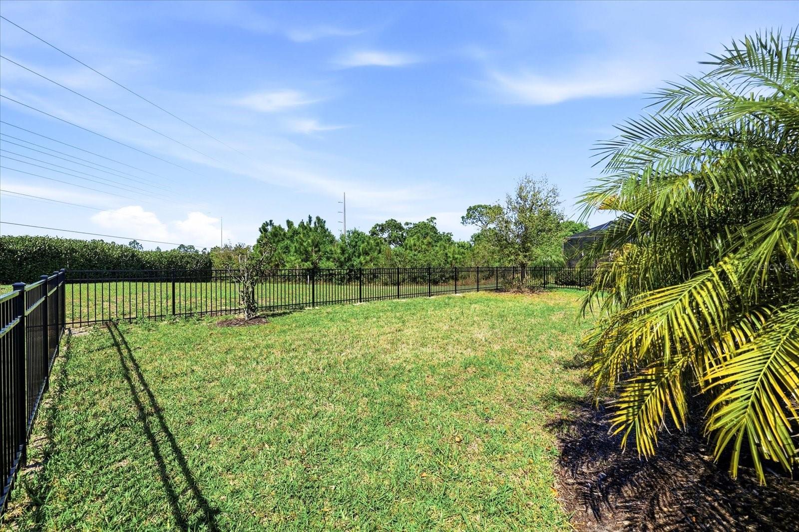 17234 BLUE RIDGE PL — photo 38