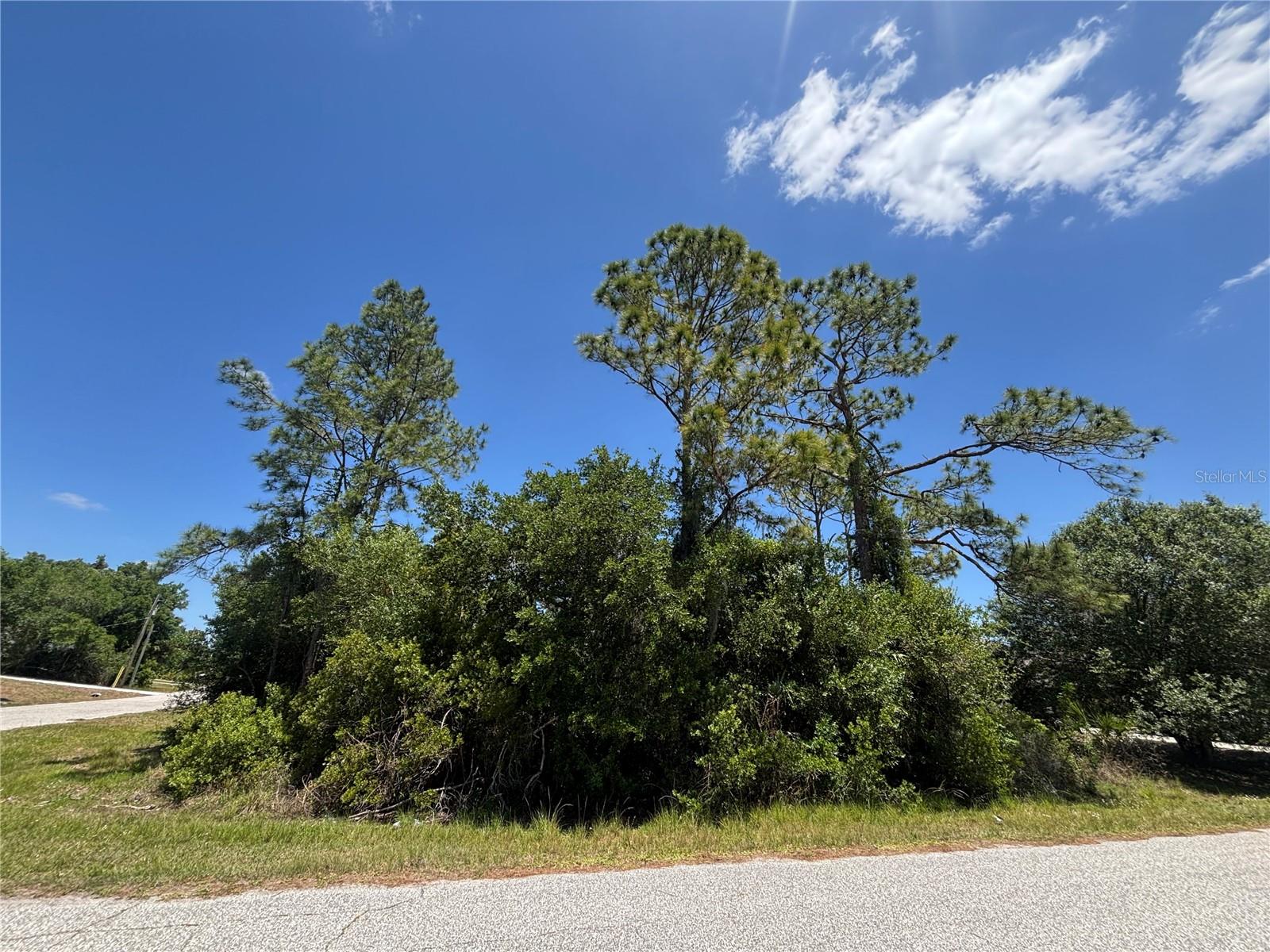 Lot #3 TOWHLEN RD — photo 4