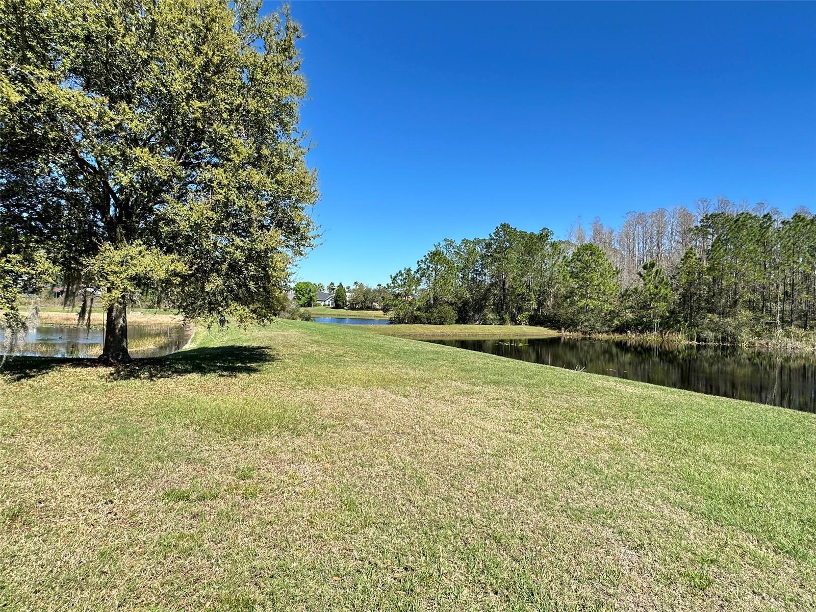 8120 TURKEY HILL CT — photo 28