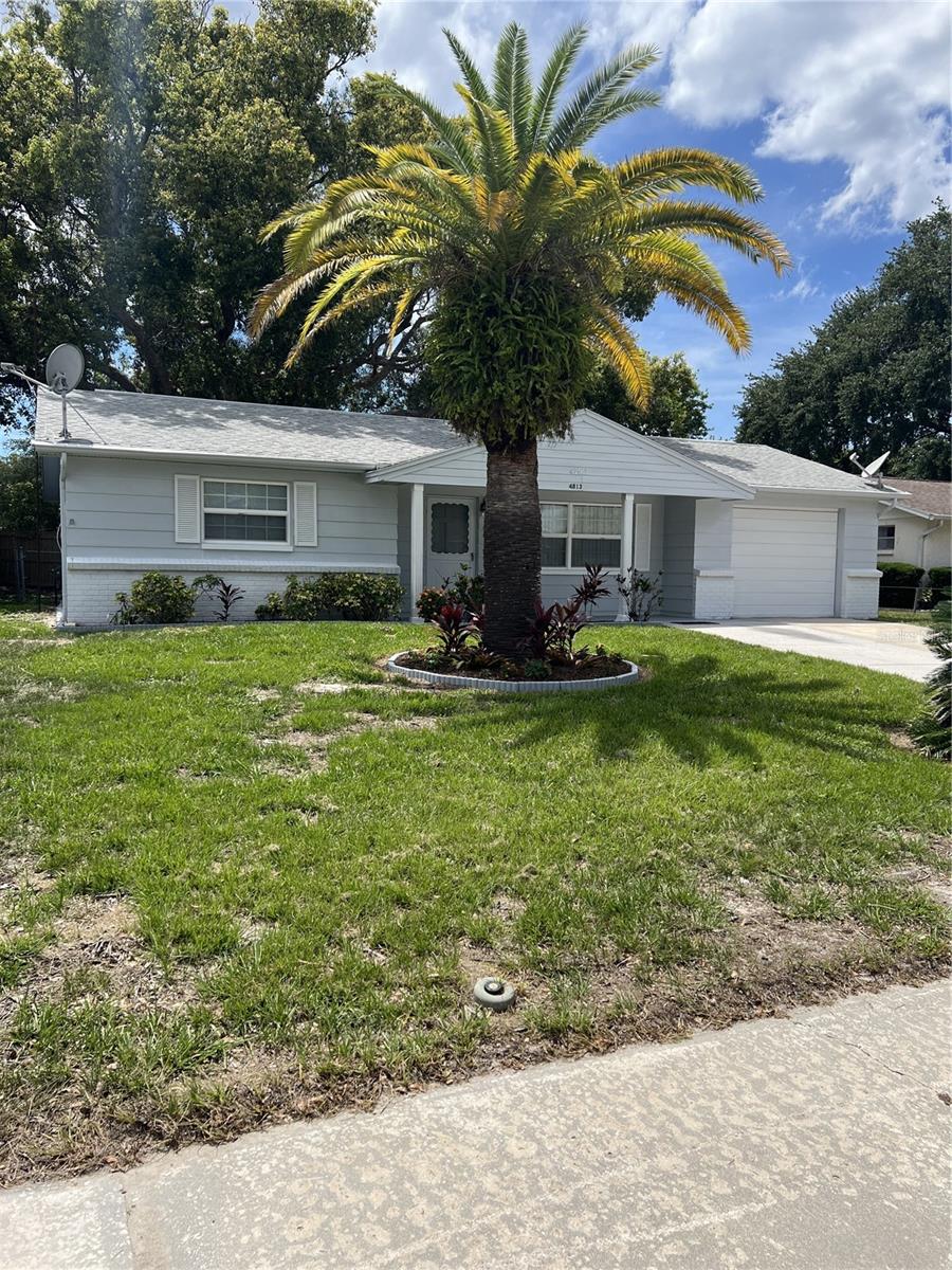 4813 DOGWOOD ST — photo 31